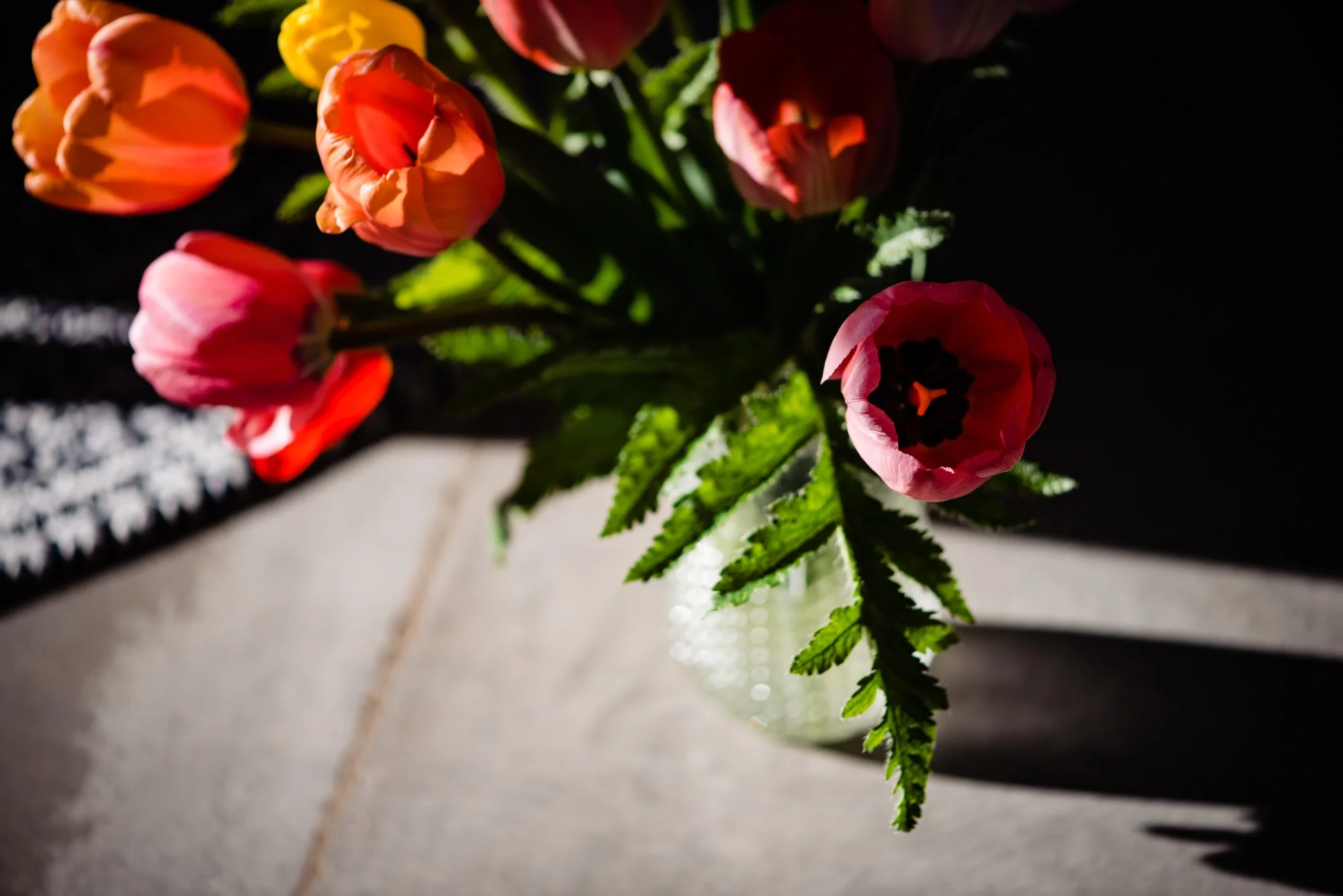 lindseyjanephotography_art013.jpg