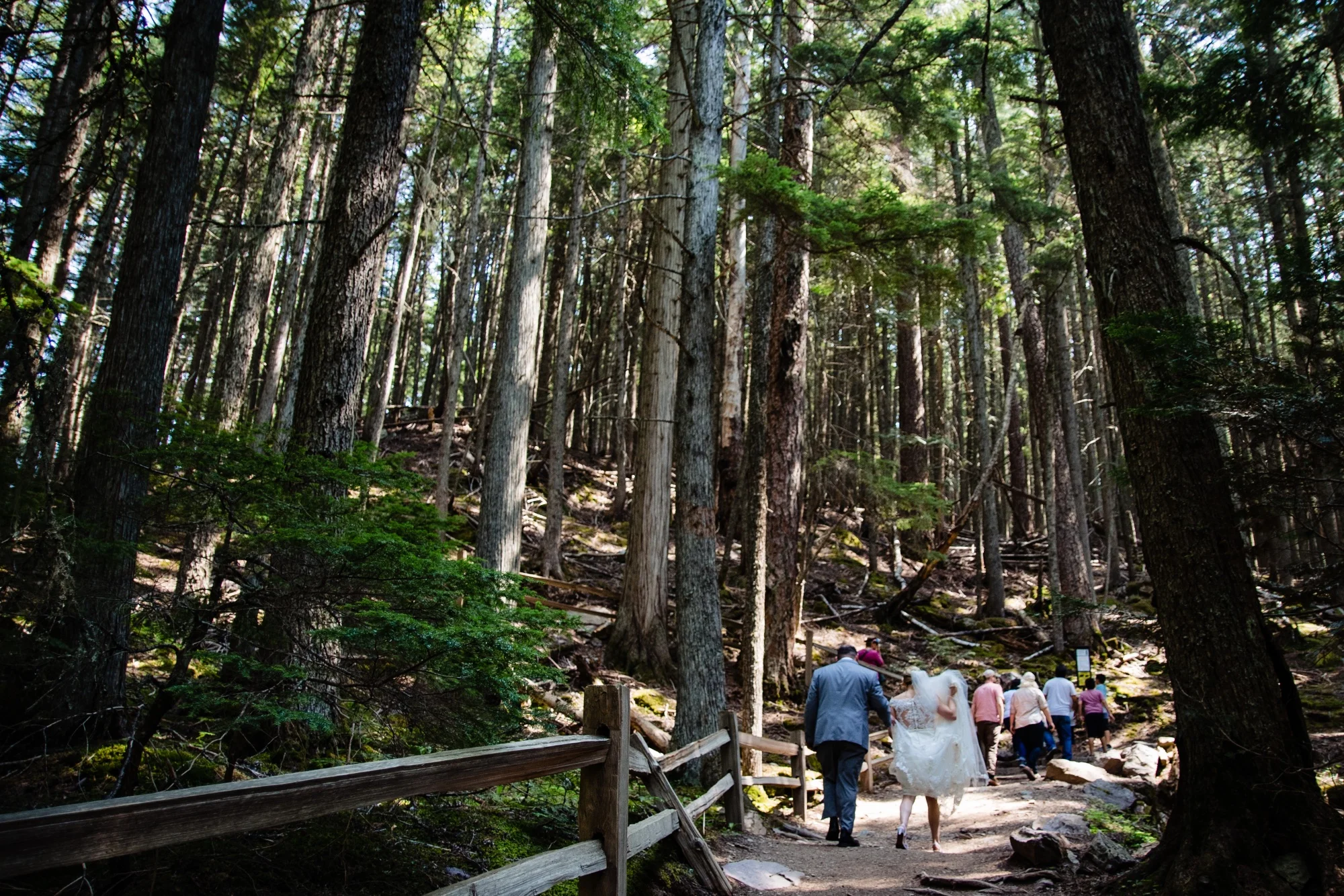 lindseyjanephotography_wedding025.jpg