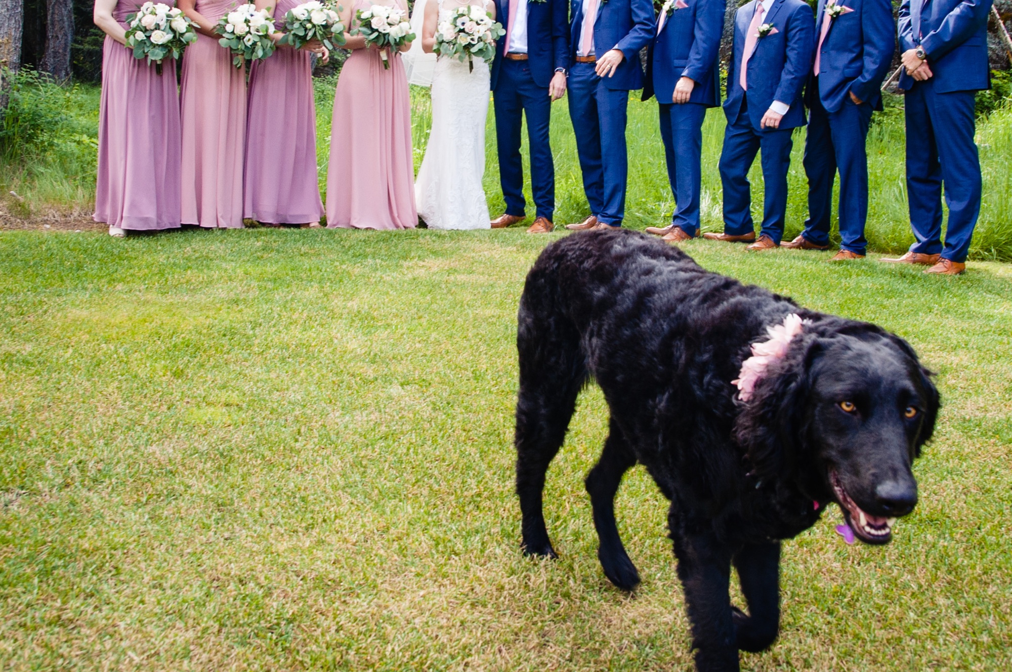 lindseyjanephoto_wedding0047.jpg