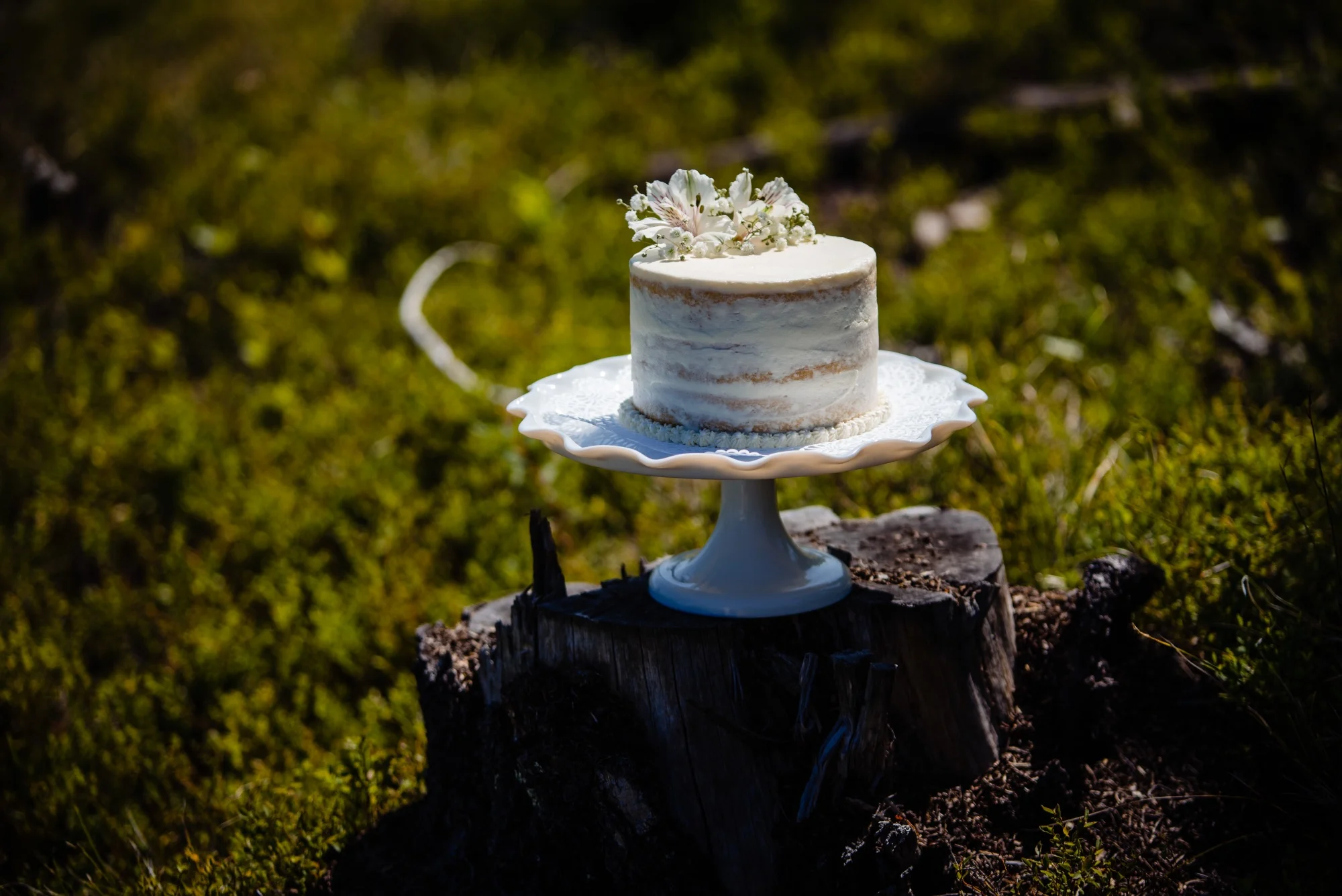 lindseyjanephoto_elpopement0051.jpg