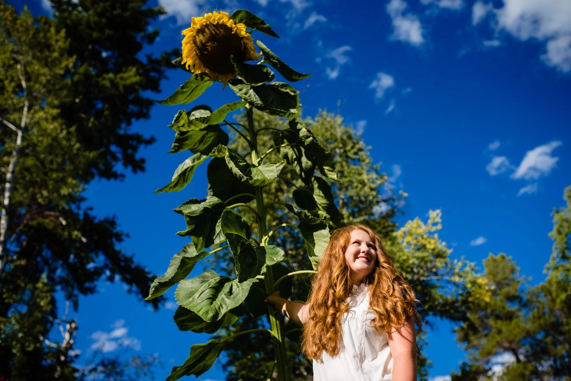 lindseyjanephoto_senior0010.jpg