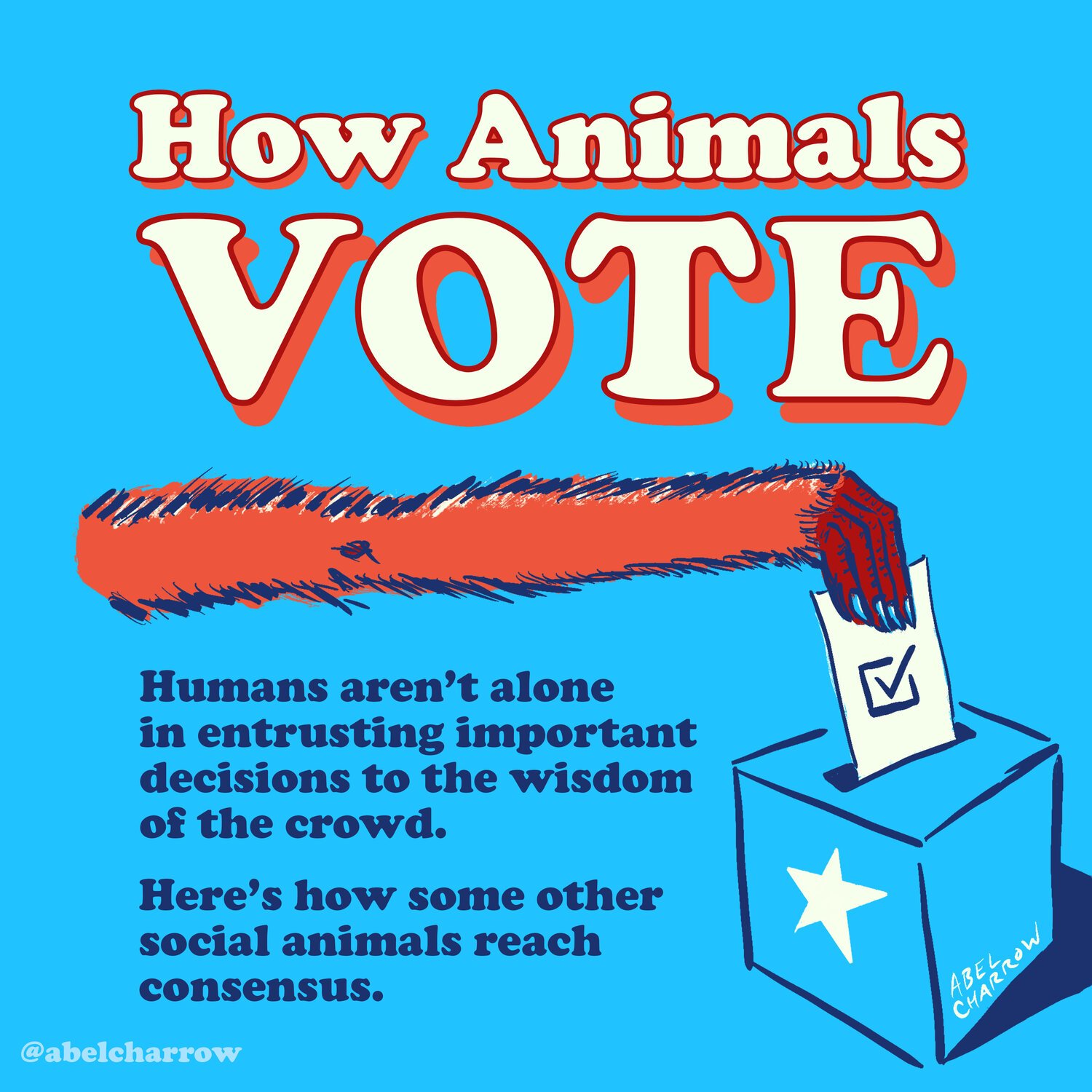How Animals Vote