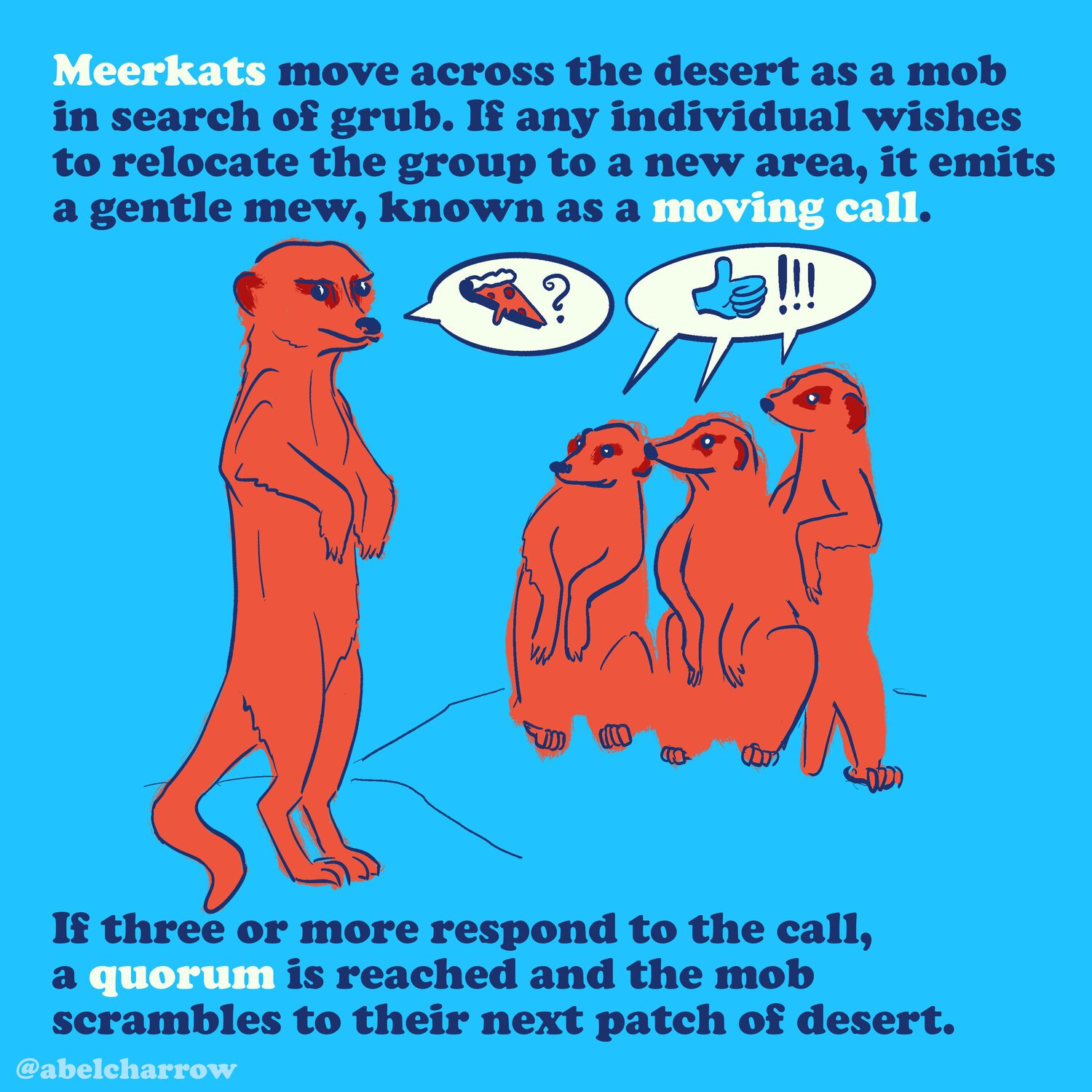 how+animals+vote+MEERKATS.jpeg