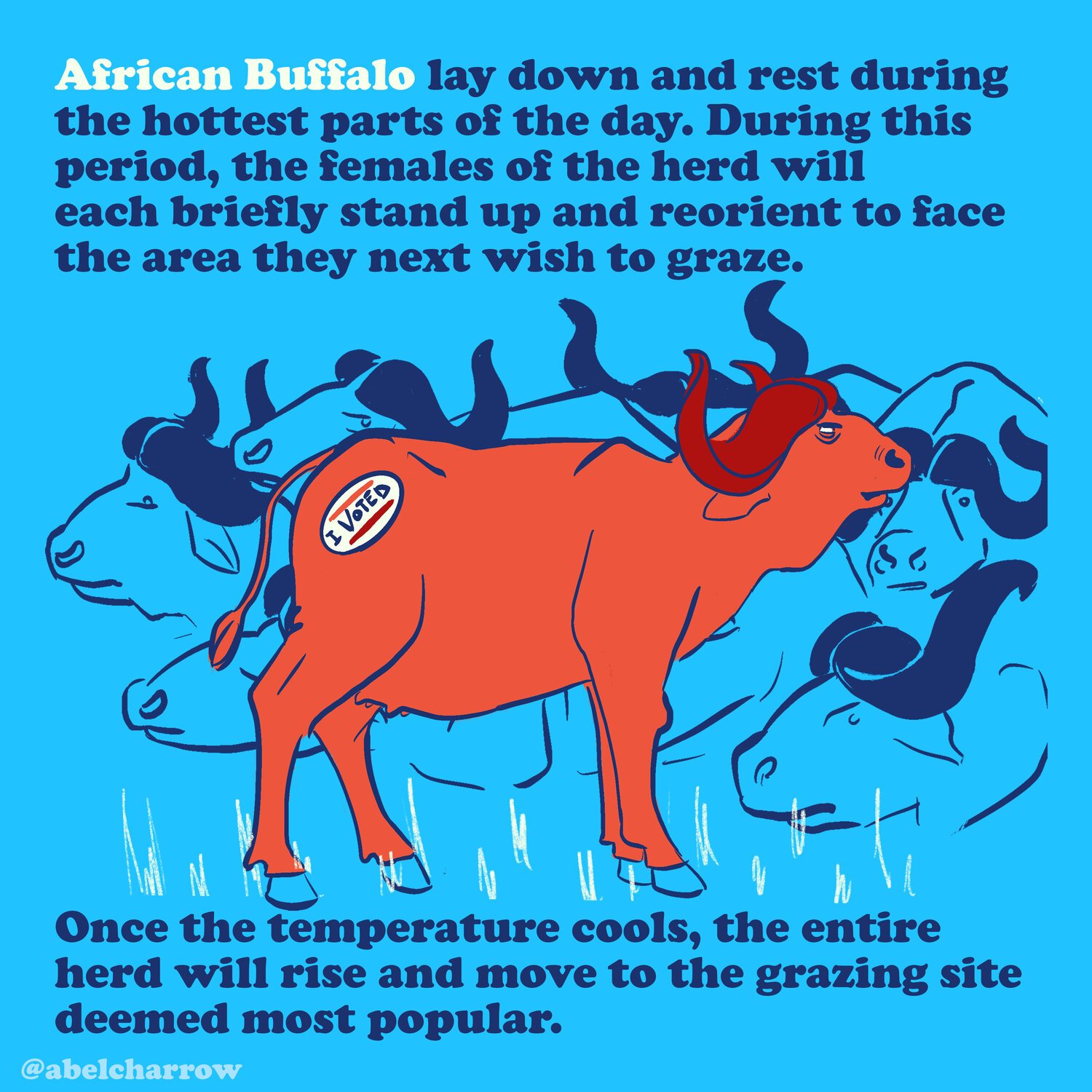 how+animals+vote+buffalo.jpeg