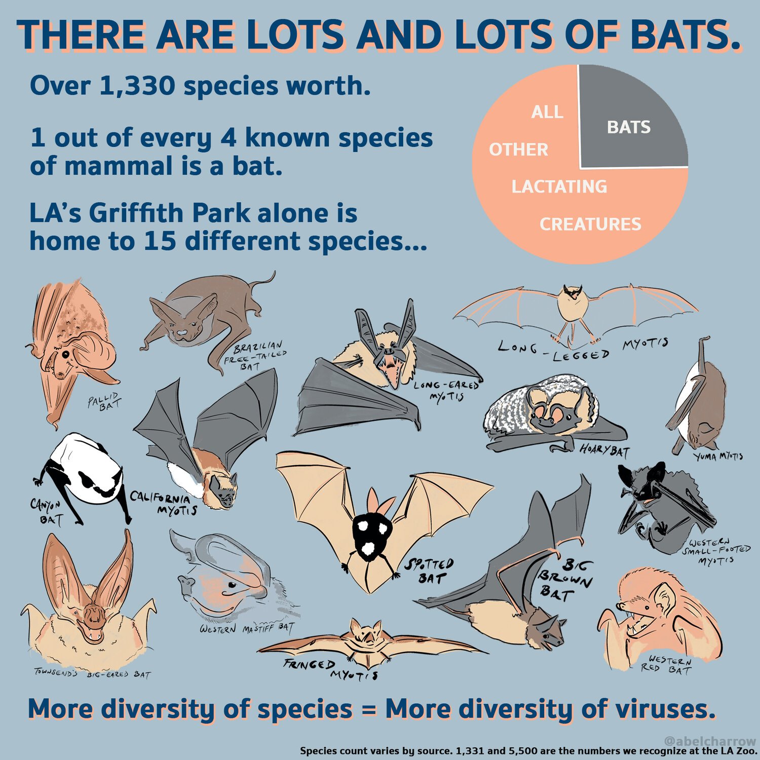 2+v3+species+diversity.jpeg