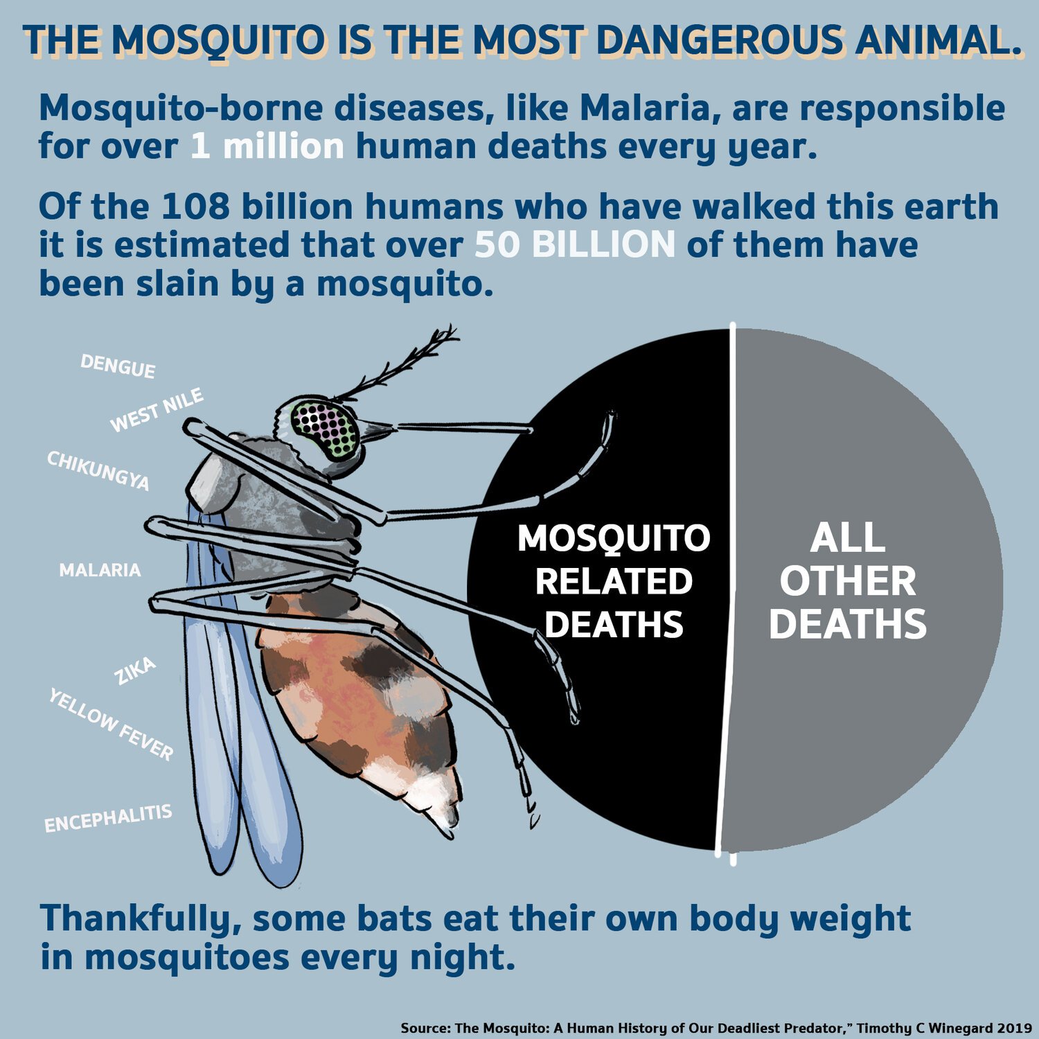 7+v2+mosquito.jpeg