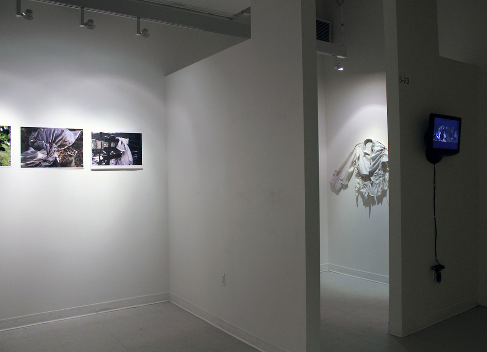 Remedy, 2013, installation view