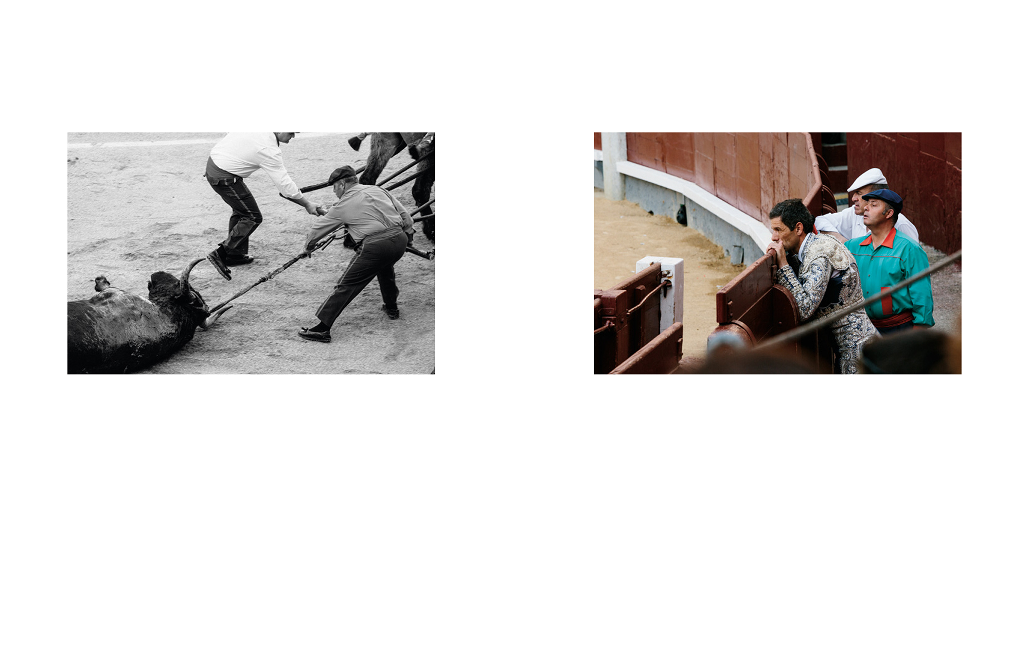 corrida_low-9.jpg