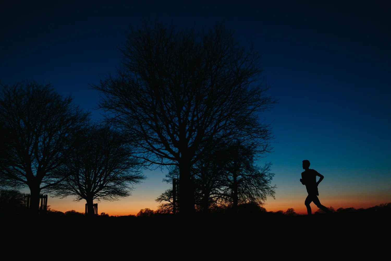 Lloyd_NB_Night-001.jpg