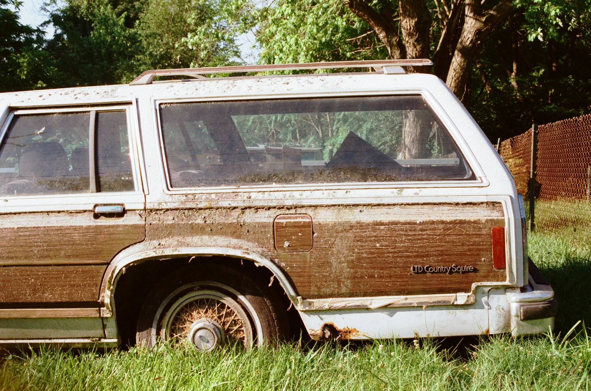 country Squire Crop.jpg