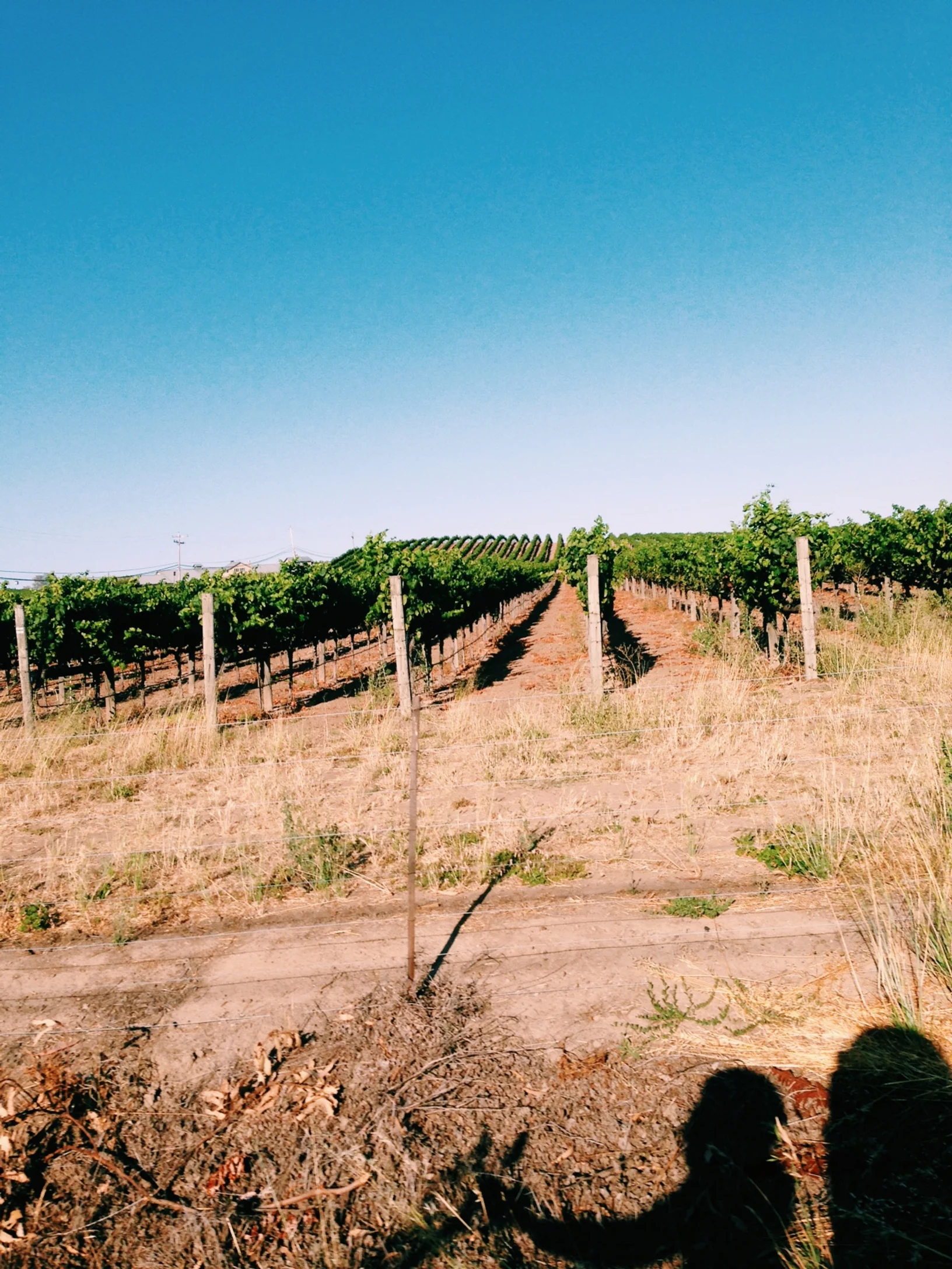 Third Stop: Napa!