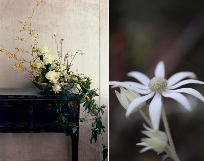 saipua_spring_mrobledo-710x560.jpg