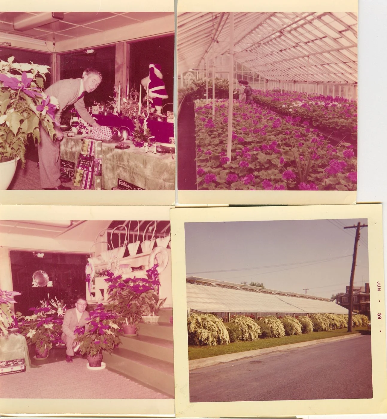 witt's florist10001.jpg