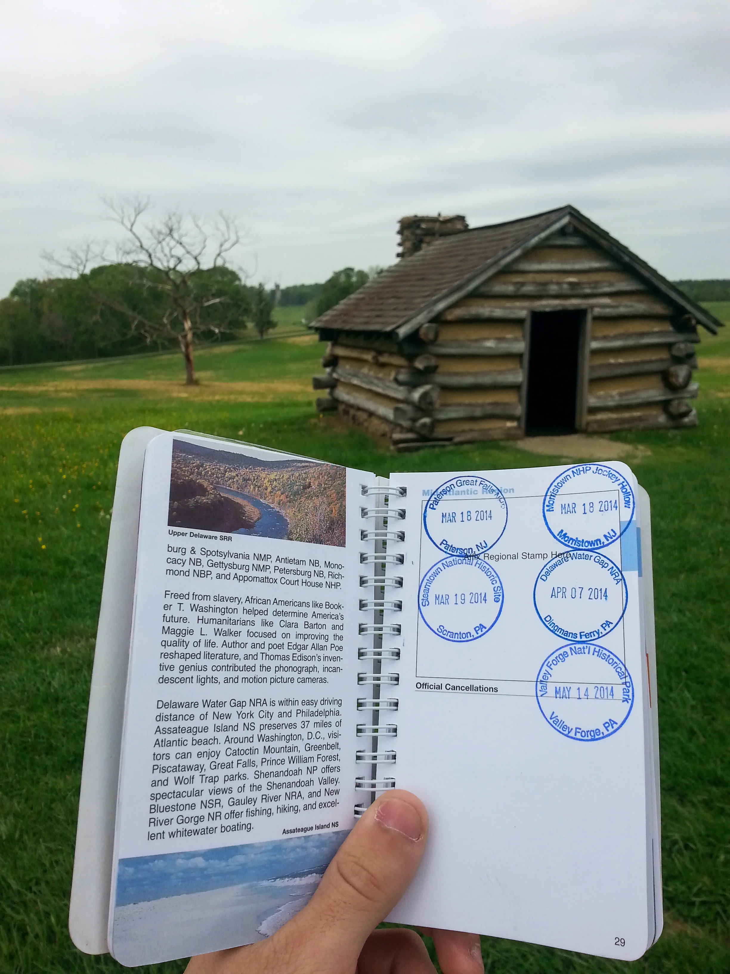 Stamp 11