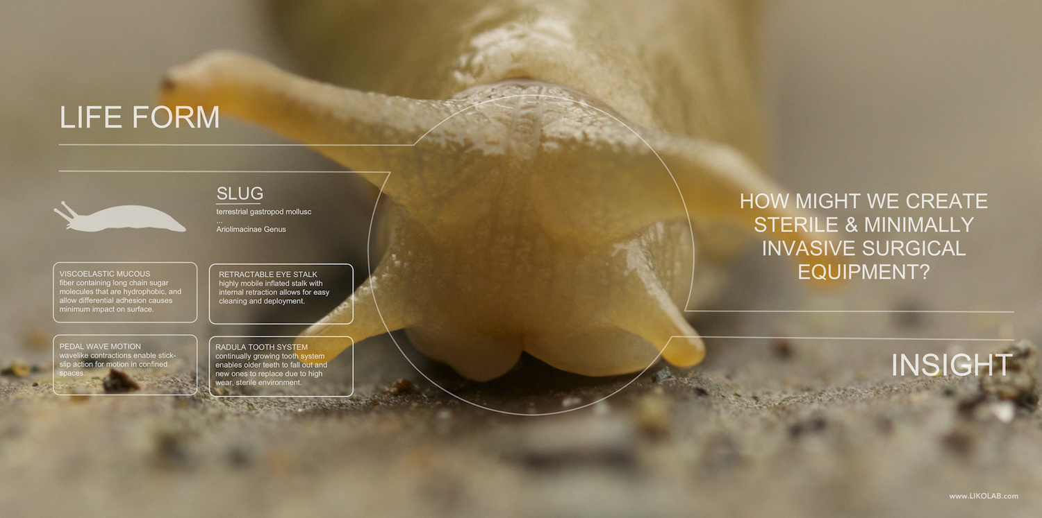 Biomimicry Goggles.jpeg
