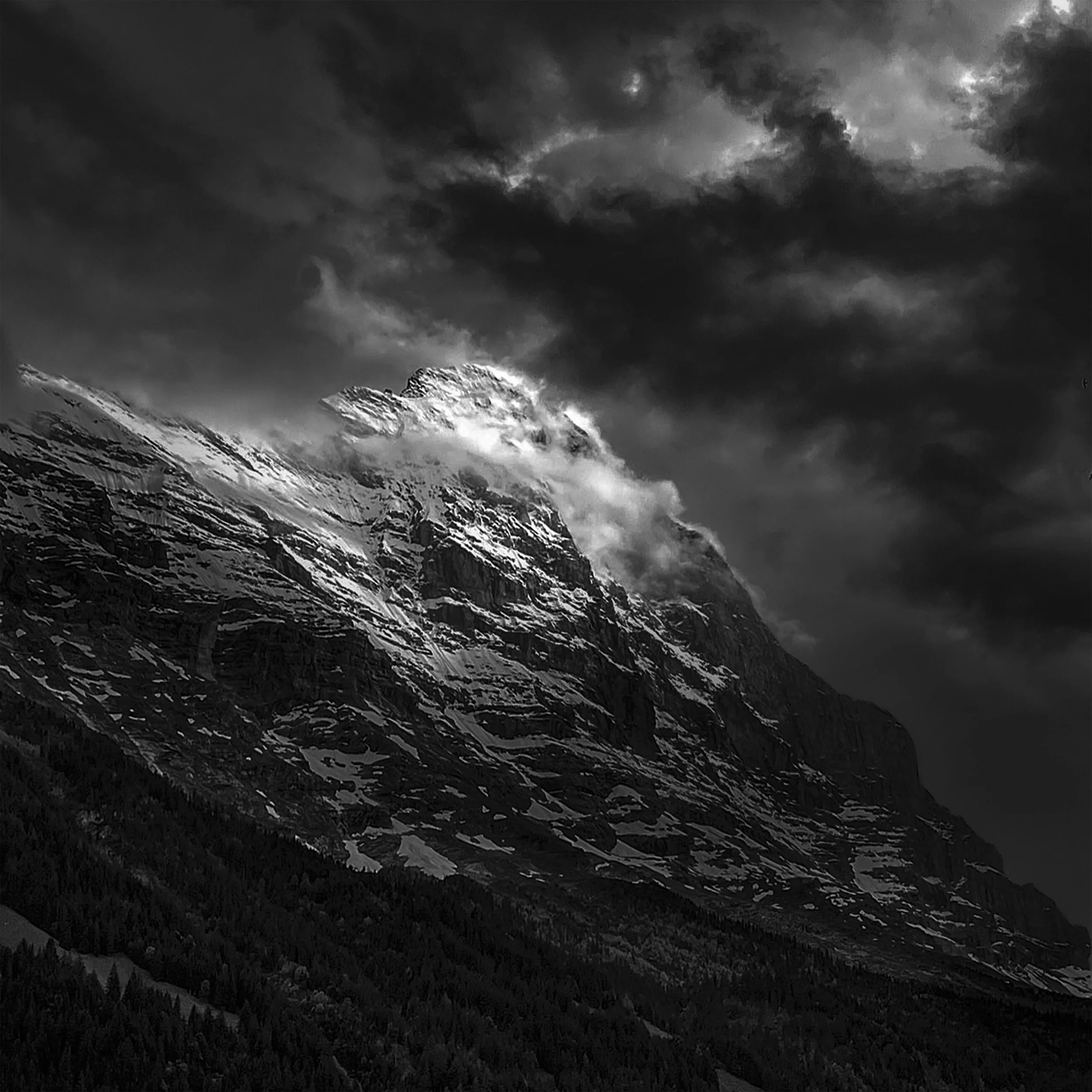 IMG_5948BW.jpg