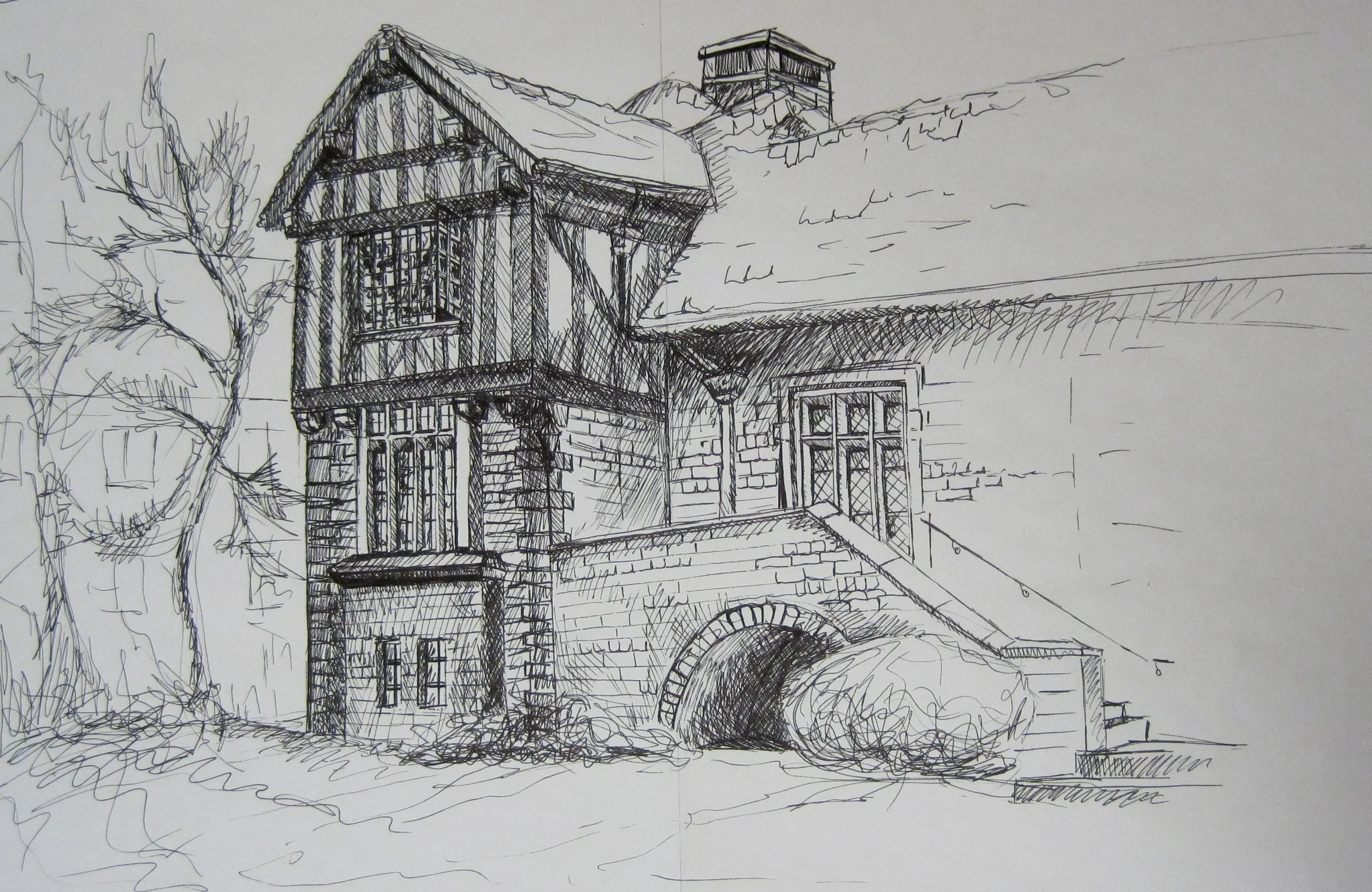 anderson back overall.JPG