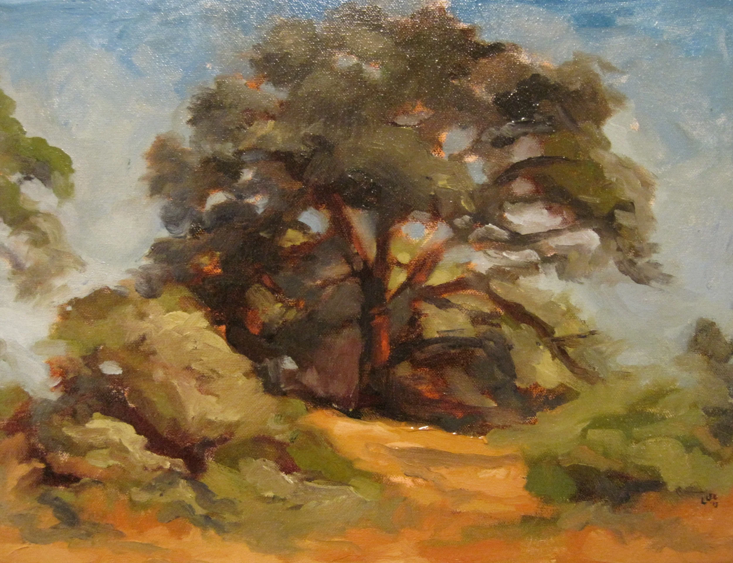 texas oak, oil on canvas, 16" x 20"