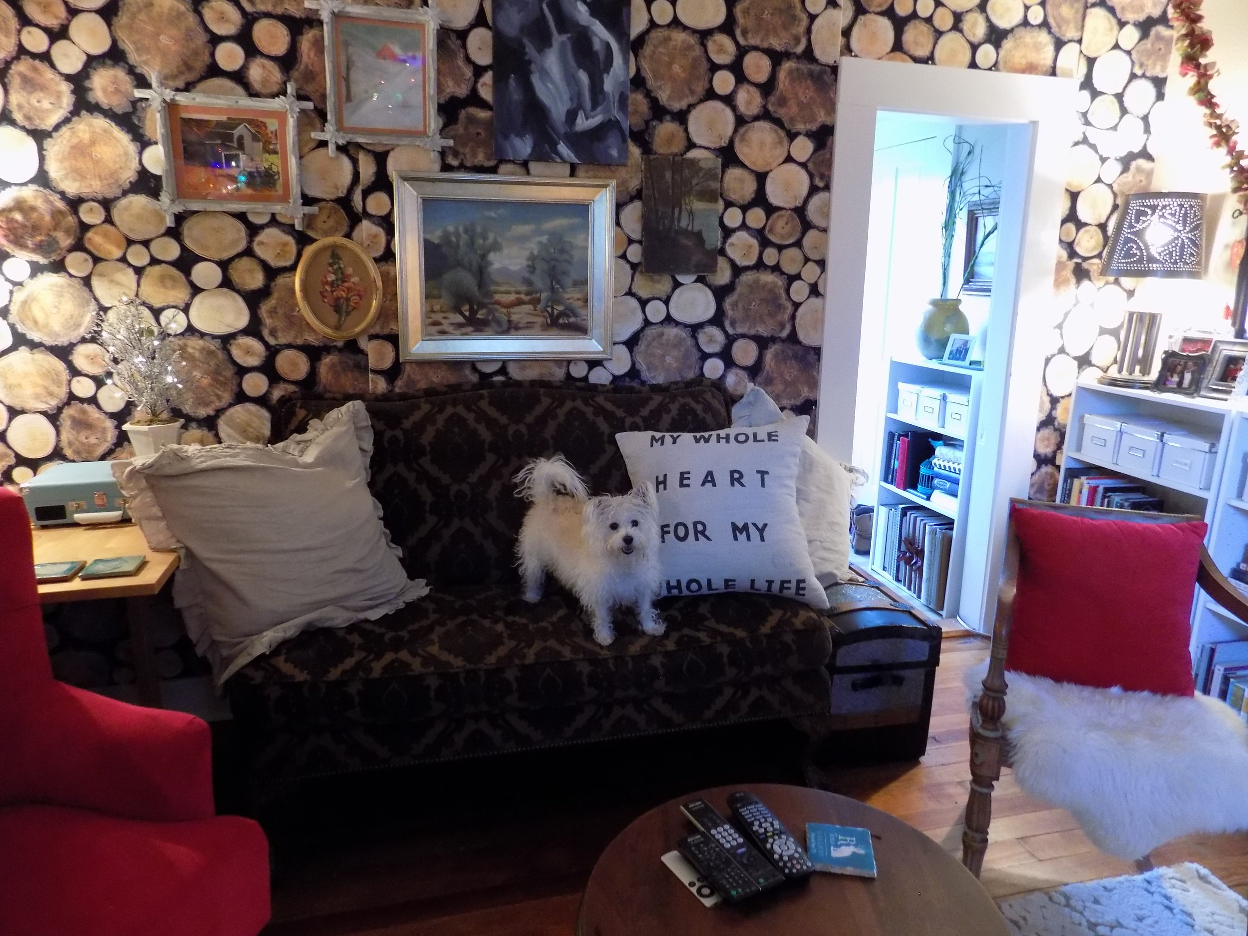 This wood wall is actually incredible fabric from IKEA! I bought 9 yards, cut it into three pieces and tacked it up with thumbtacks. It's Toodle-Approved!