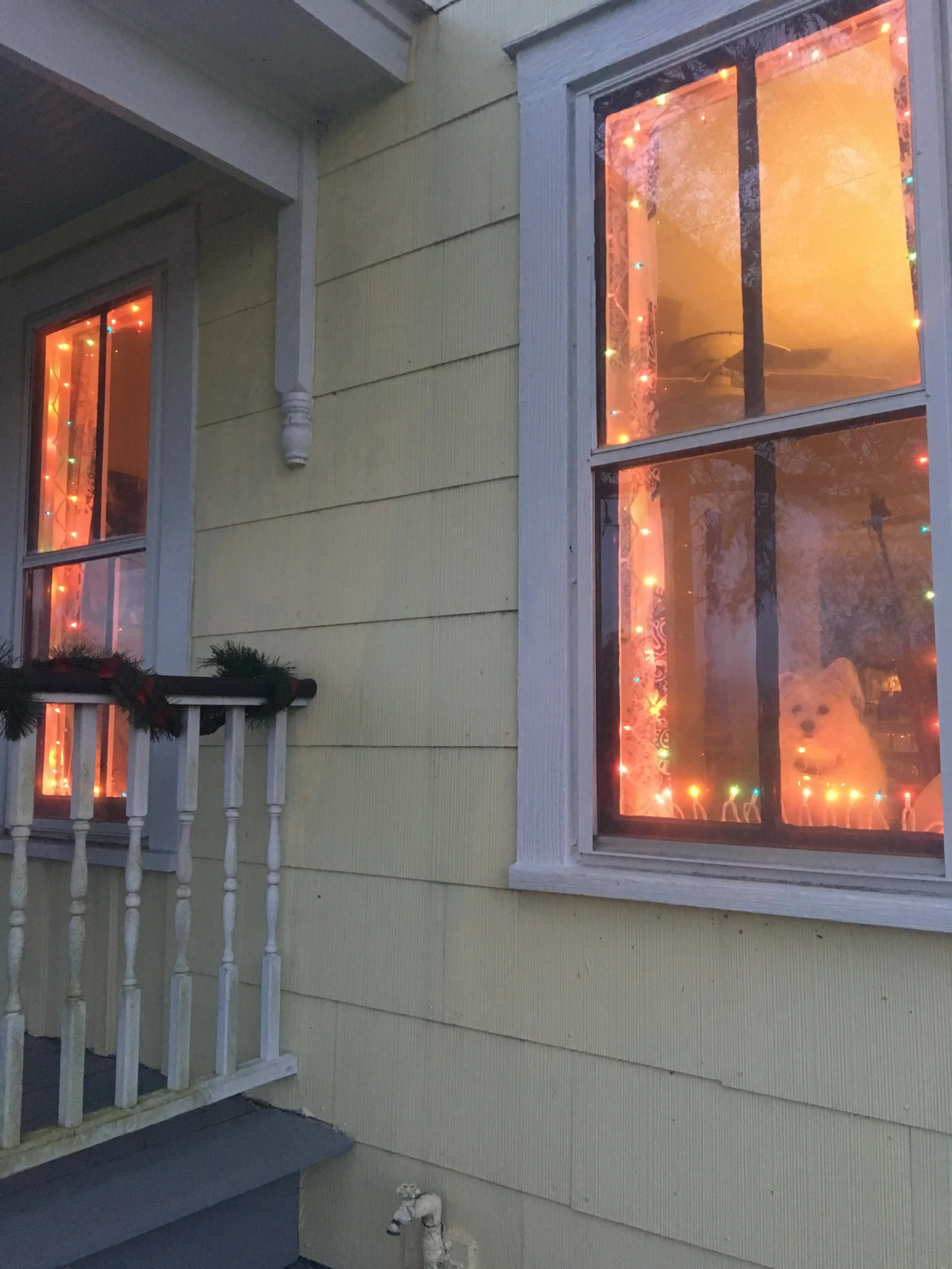 I have no electrical outlets outside, so I've lined the windows with lights.&nbsp; Toby loves to bask in it its glory.