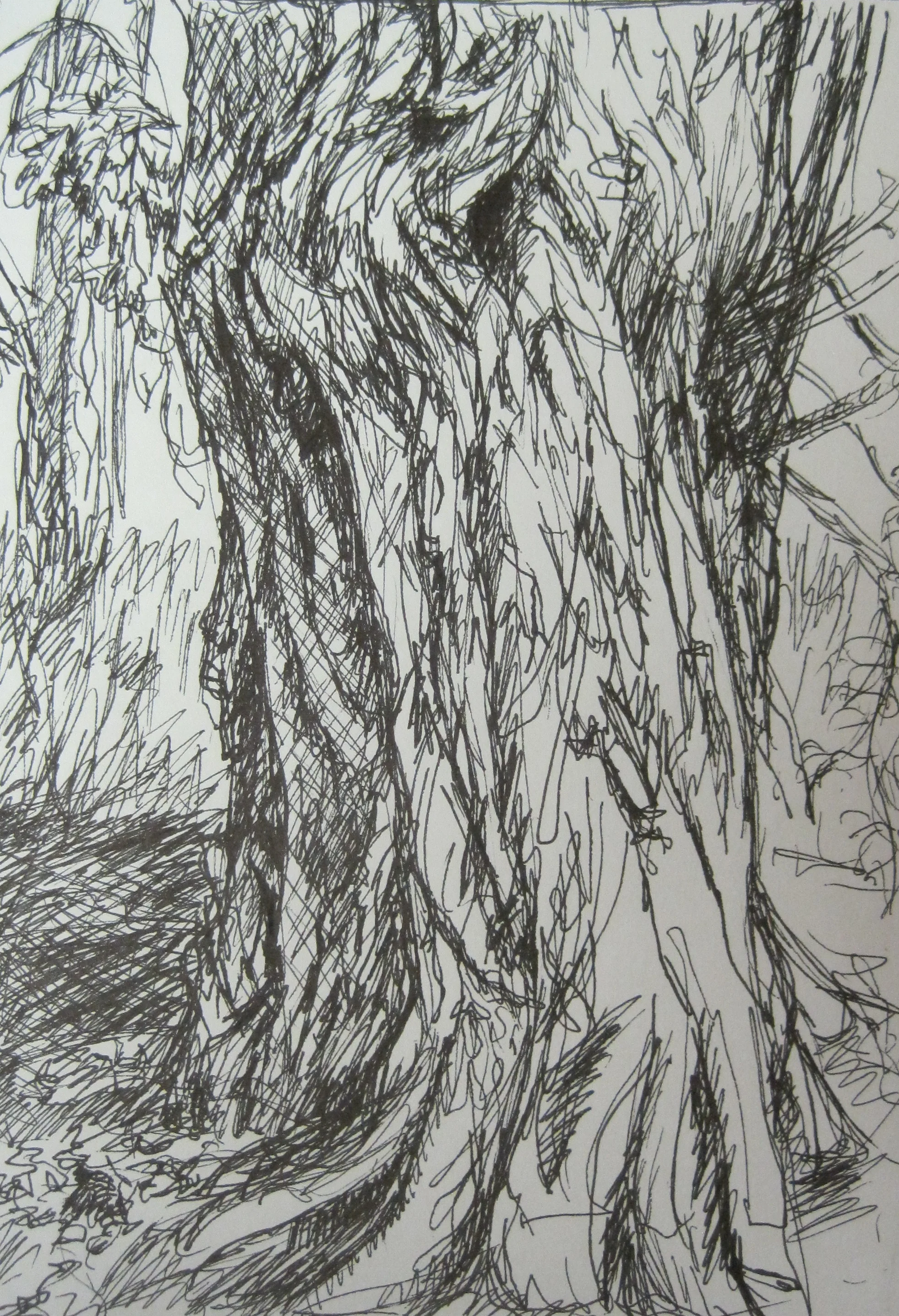 9/11 Tree, ink on paper, September 11, 2001