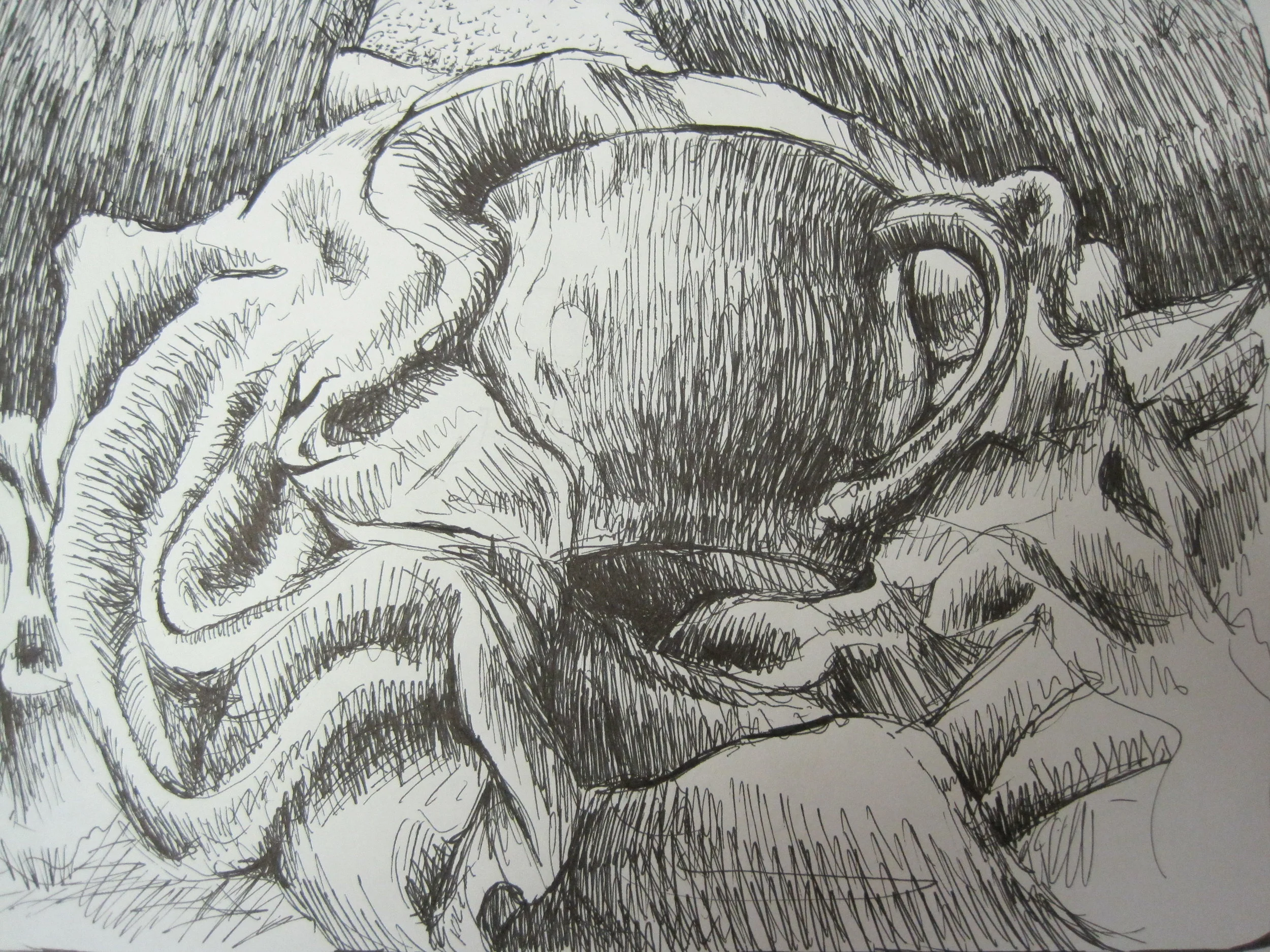 Cup and Napkin, ink on paper, 2001