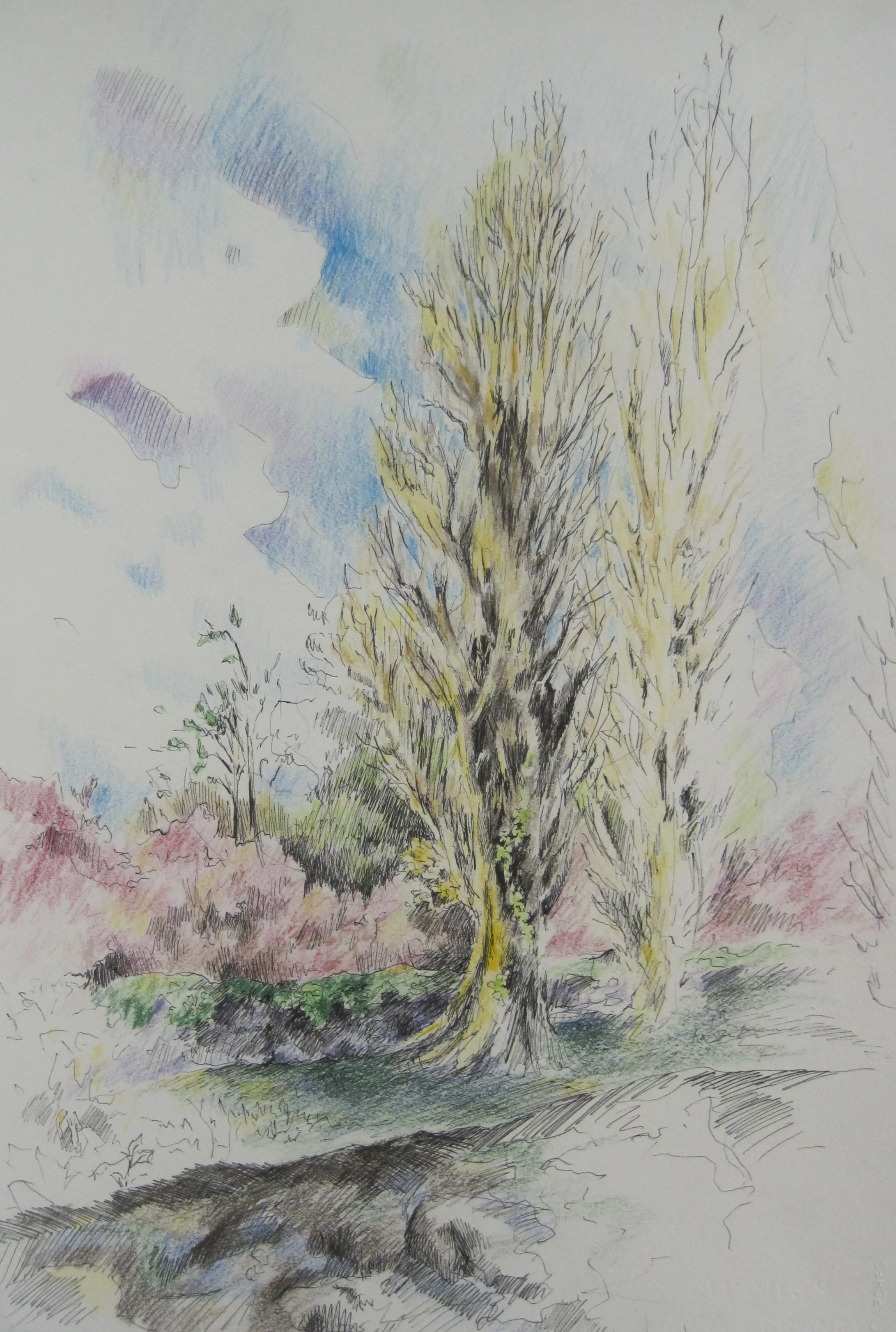 Sarlat Forest, 2002