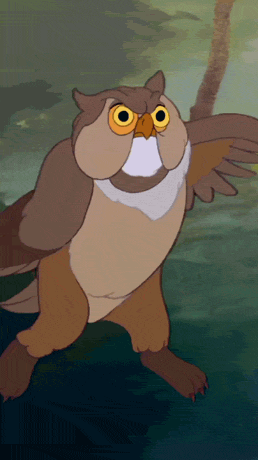 mca_gif_bambi_owl_fail_nope.gif
