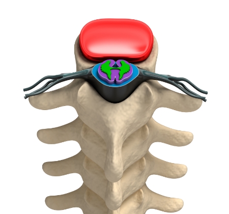 spinne inside.jpg