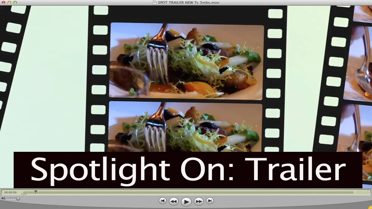 "Spotlight On" / 23 years of highlights!