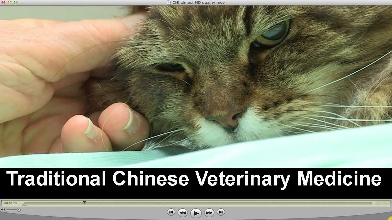 Chinese Veterinary Medicine