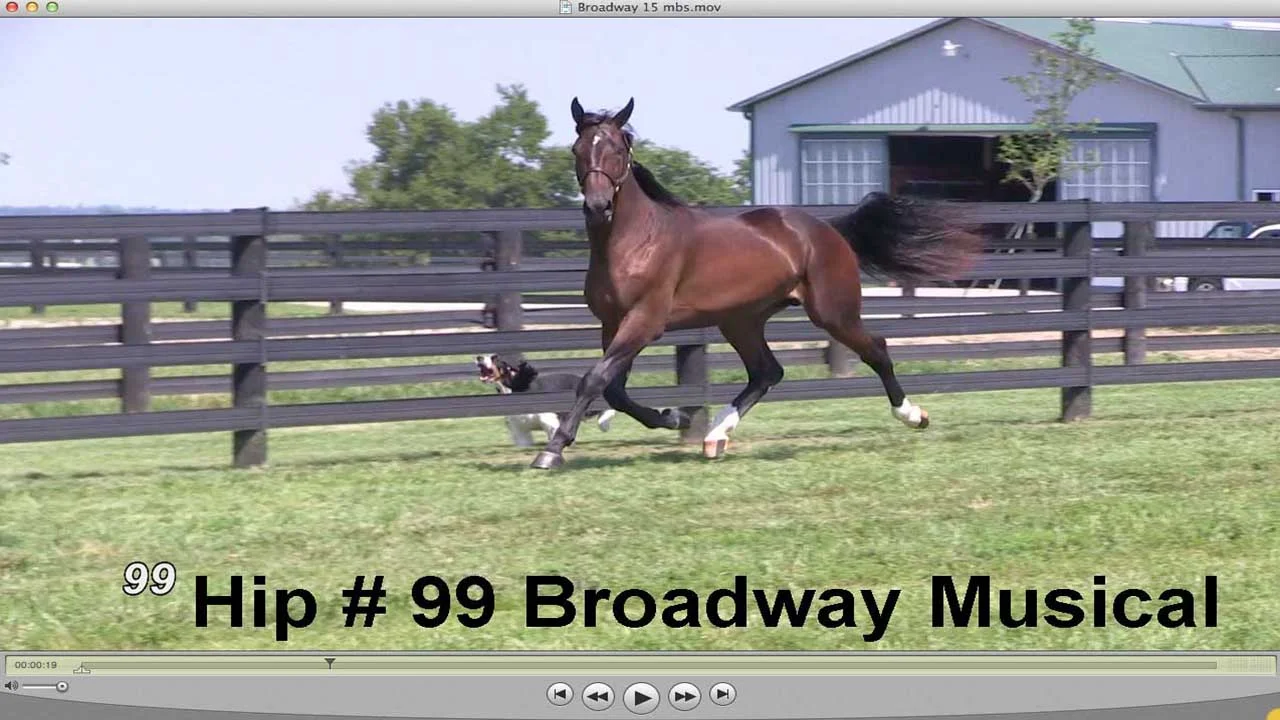 Yearling Movie & Sparky!