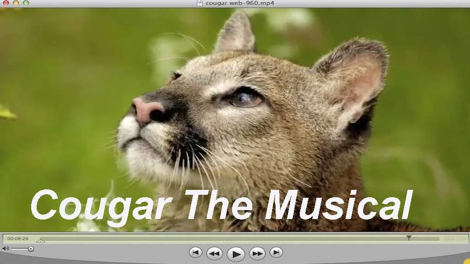 Broadway- "What's a Cougar?"