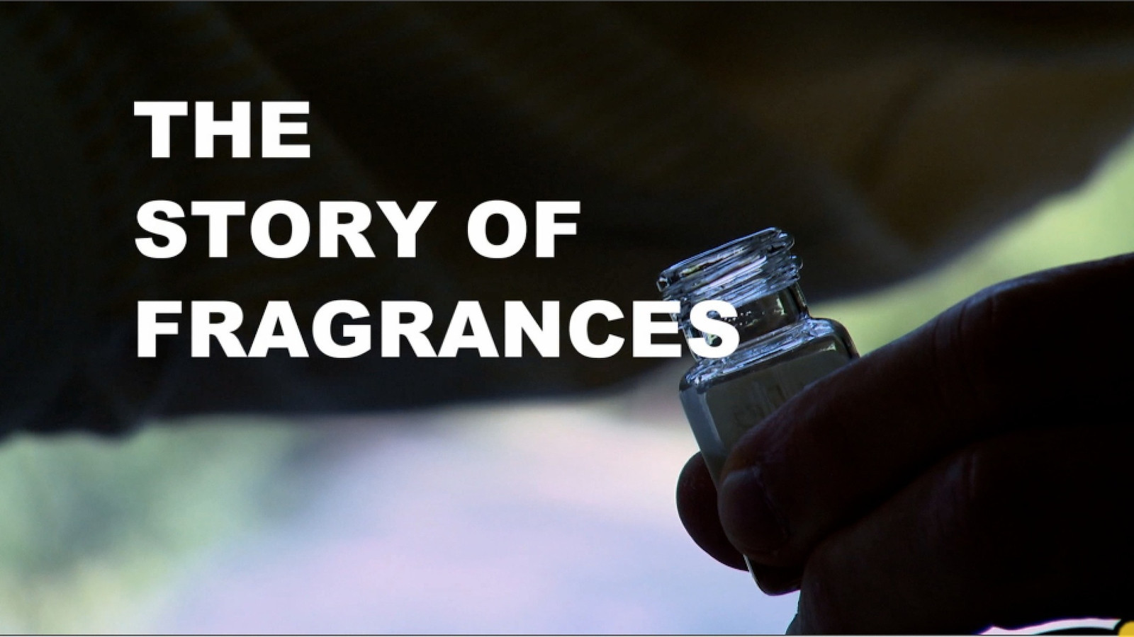 International Fragrance Assoc.
