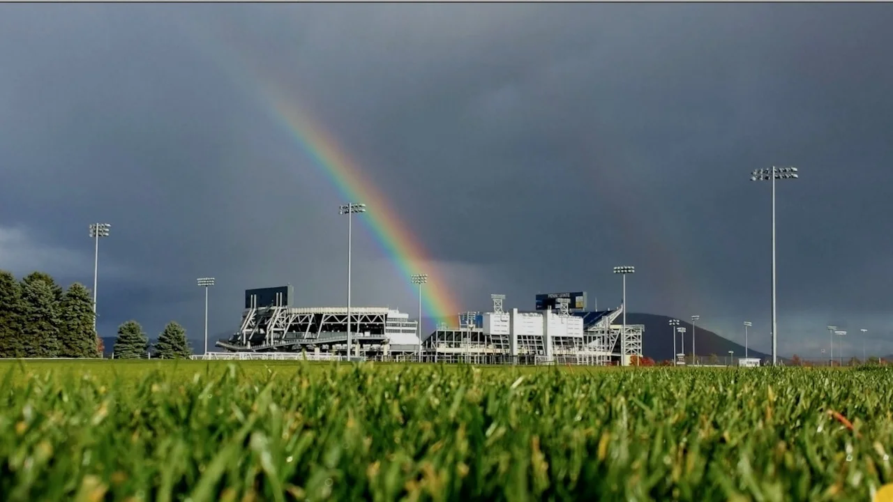 Sports Turf