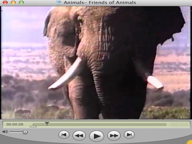 Friends of Animals