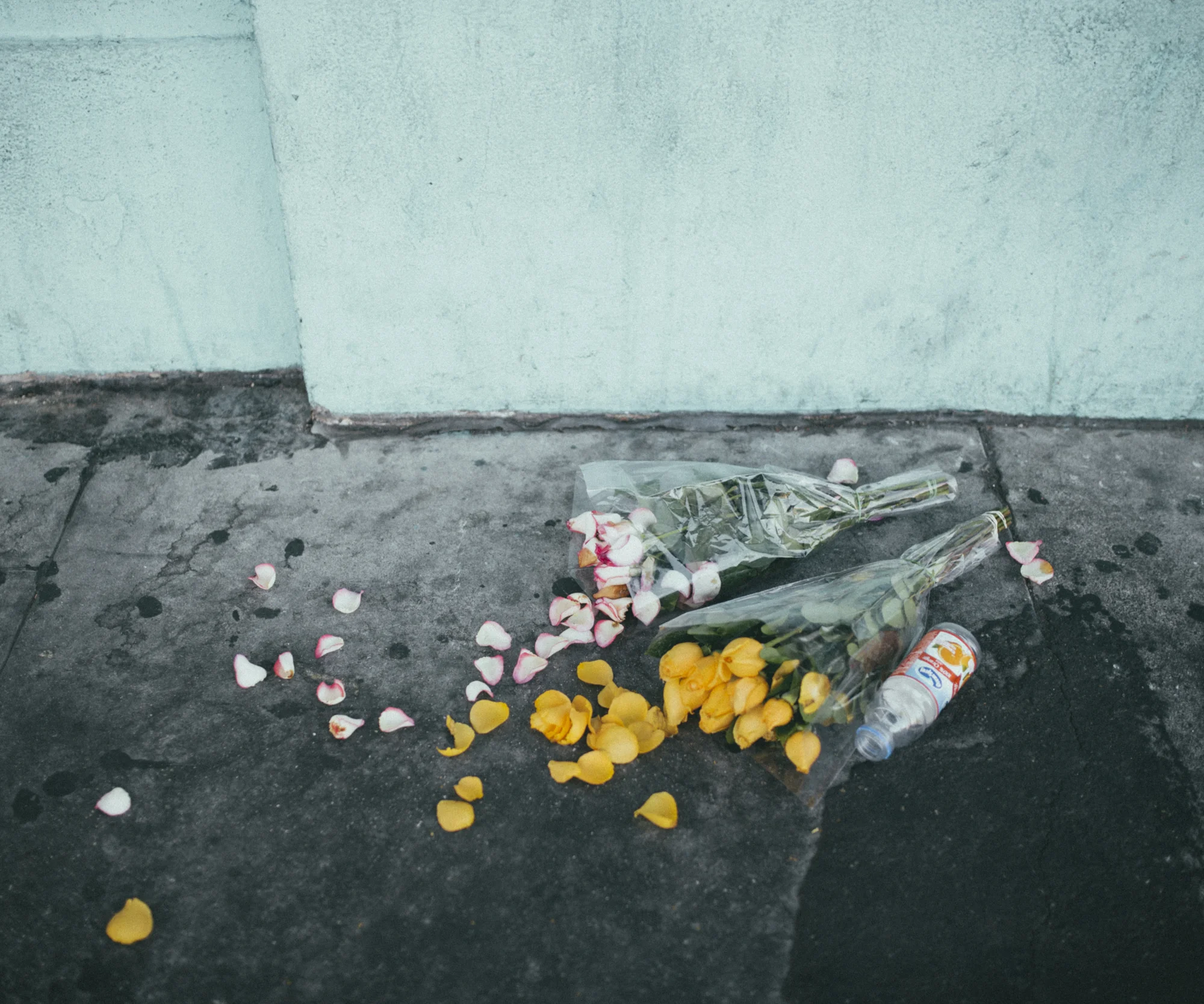 found-2.jpg