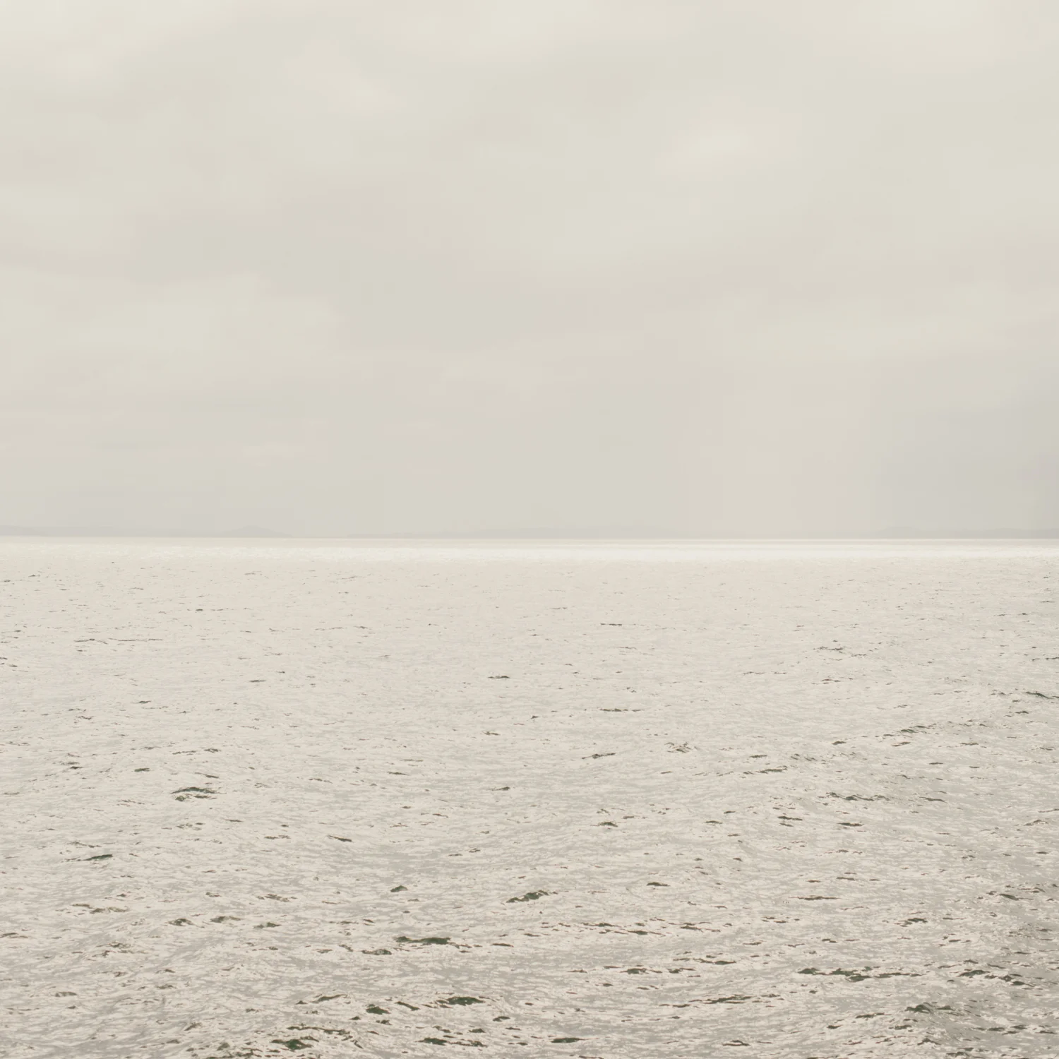 golden sea_.jpg