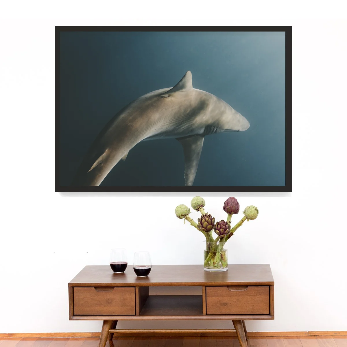 shark.jpg