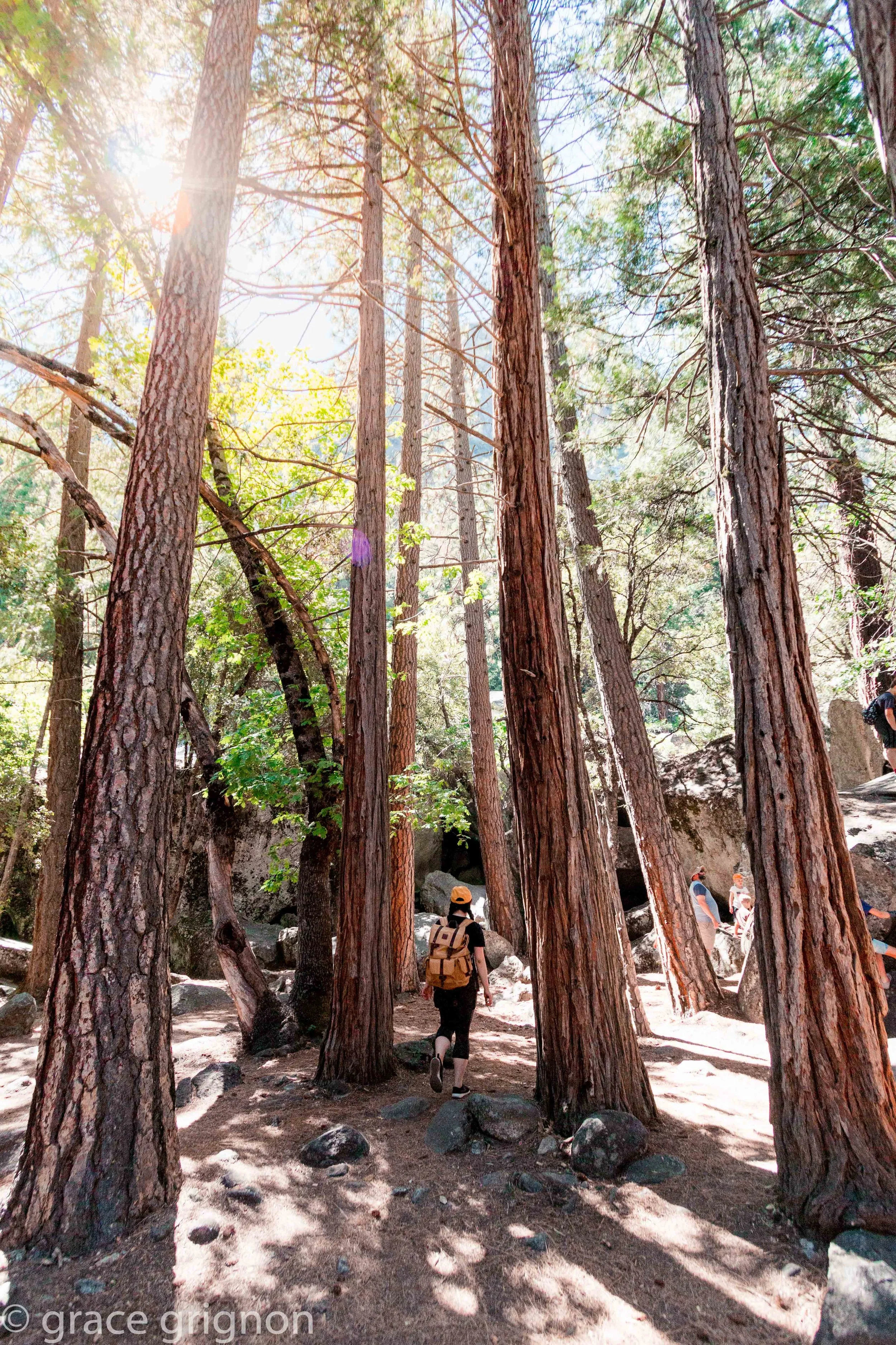 Yosemite, California