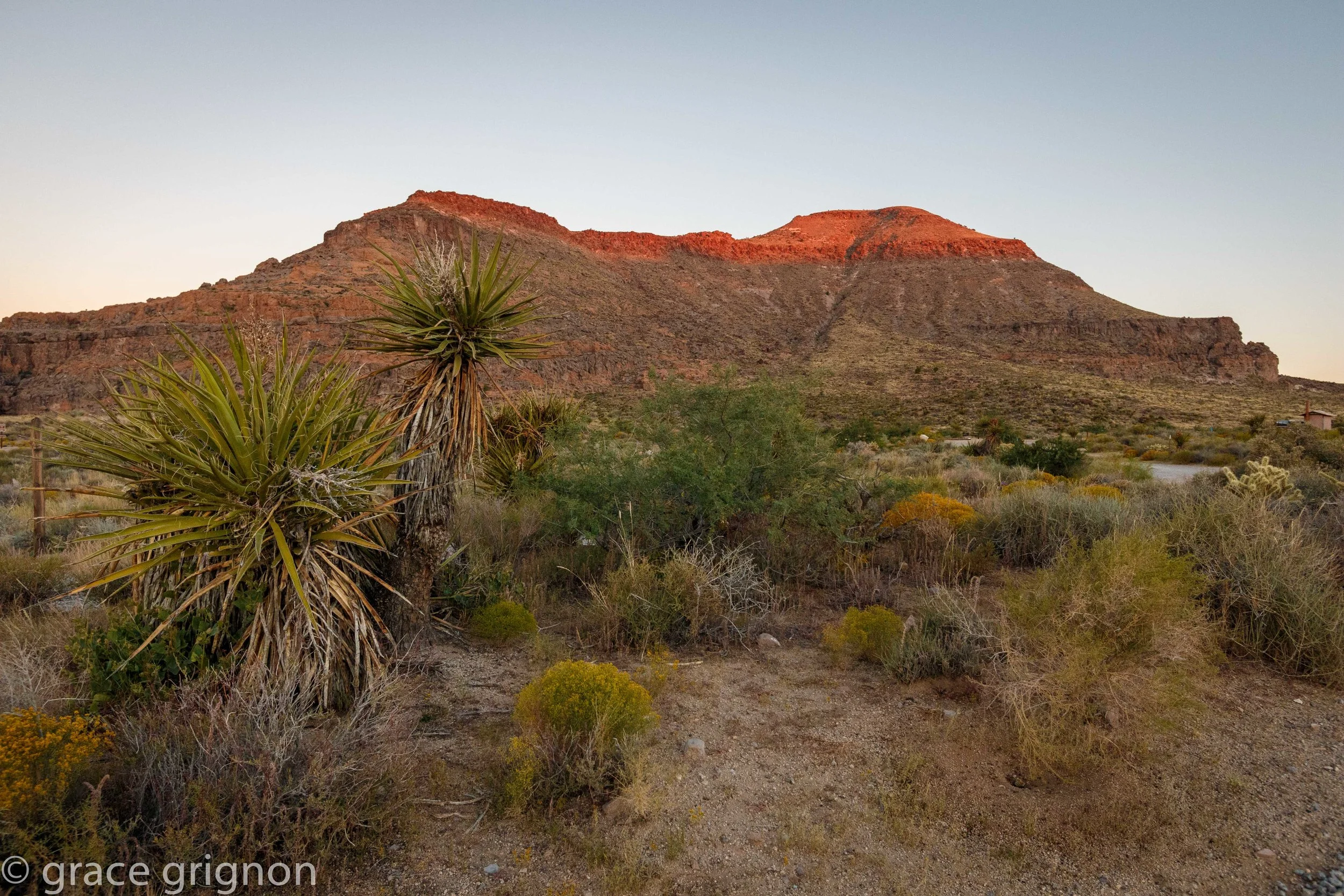 Mojave Desert, California