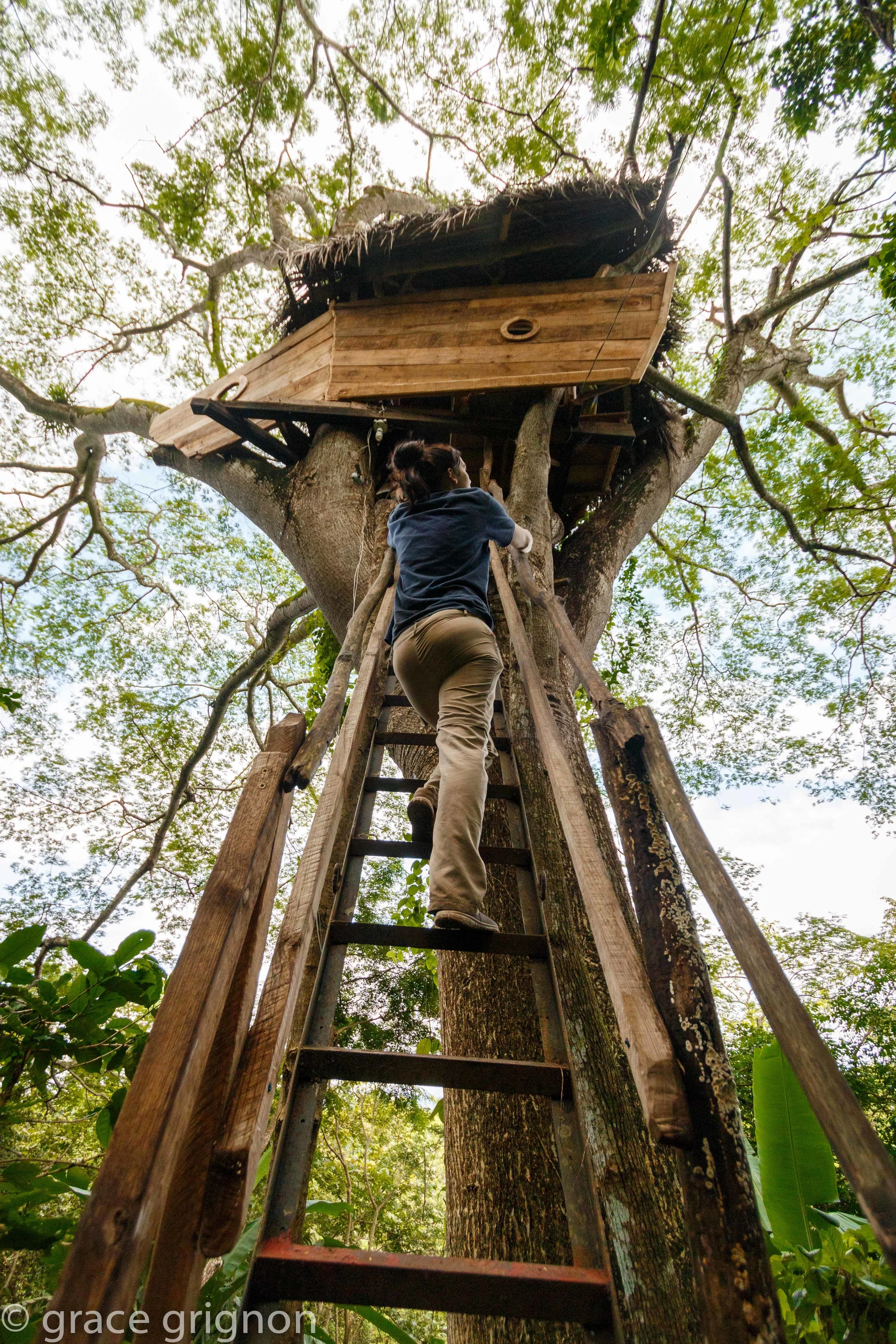Nicaragua