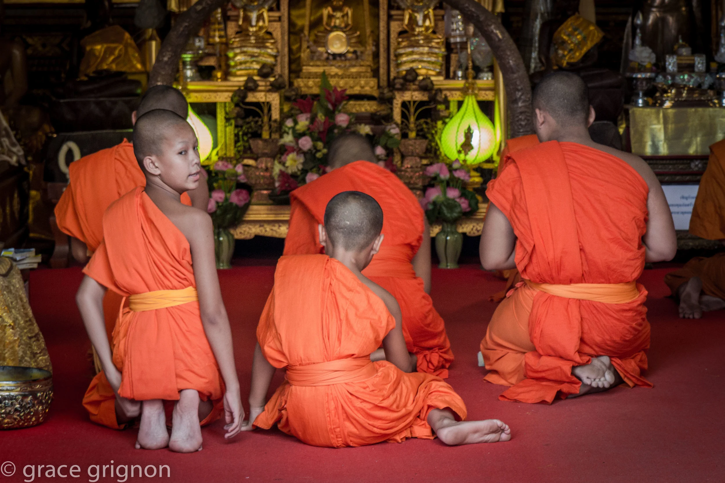 Young monks in Northern Thailand
