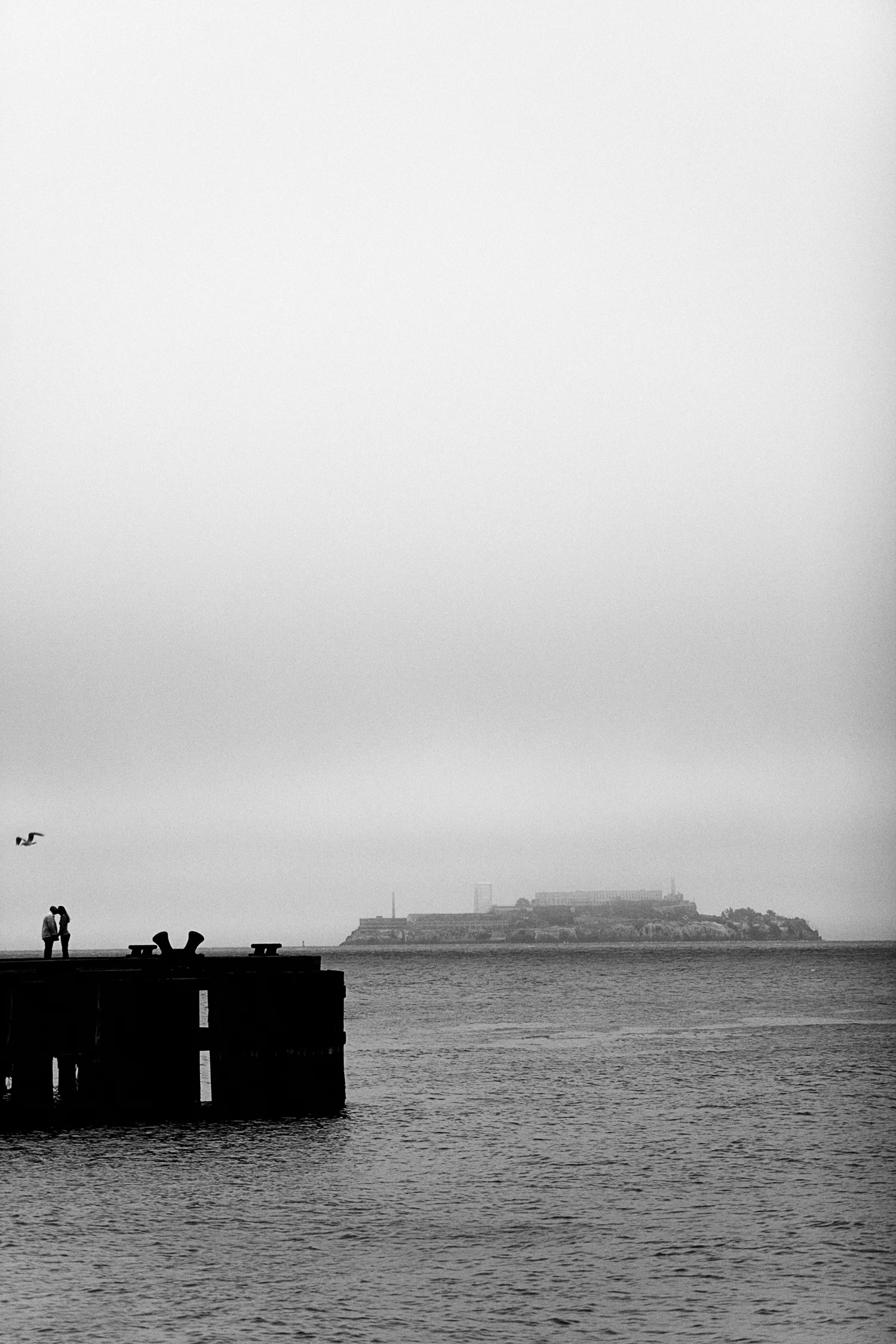 Alcatraz©KirstyEdwardsPhotography.jpg