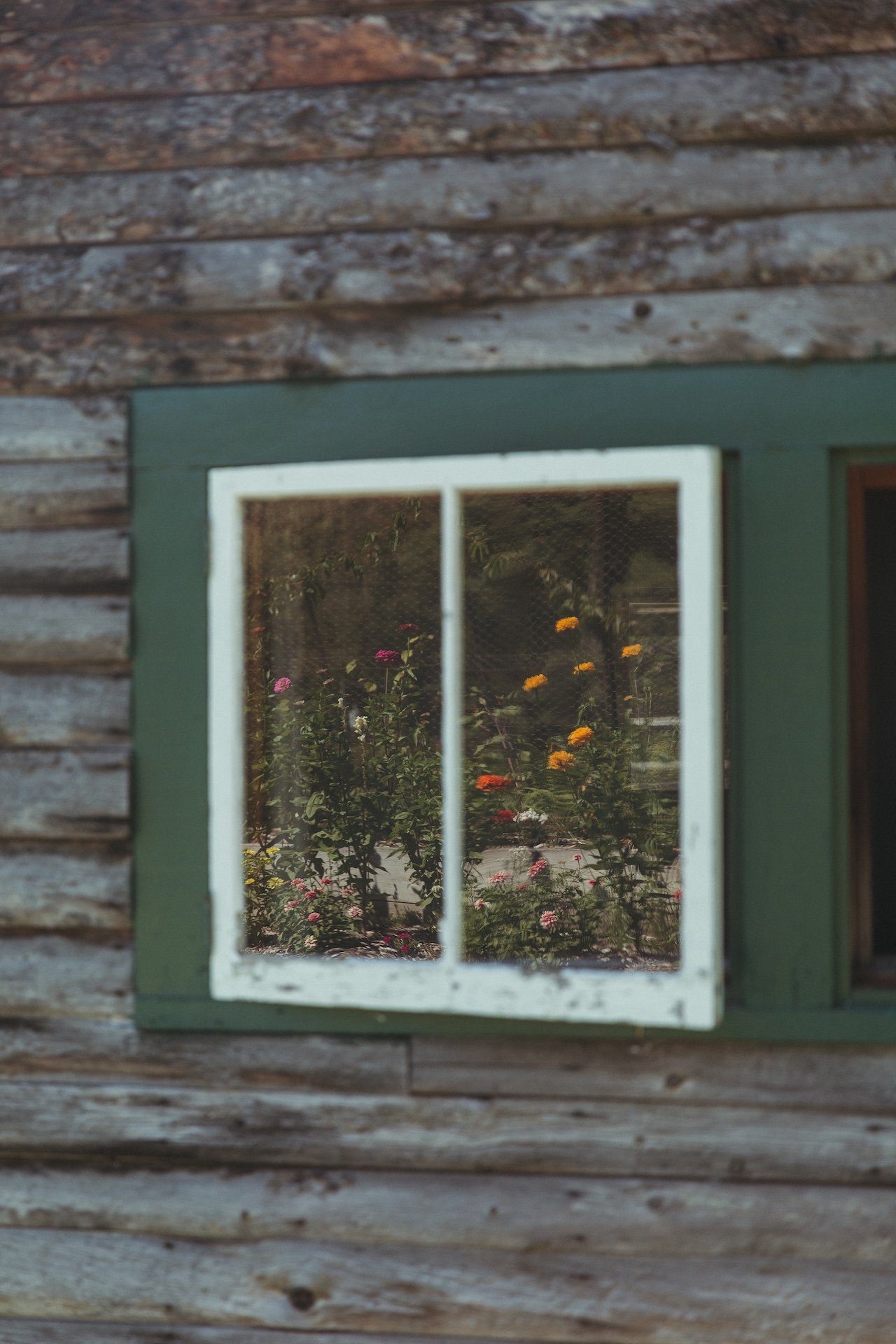 20240906_Pre-Wedding Day_156.jpg