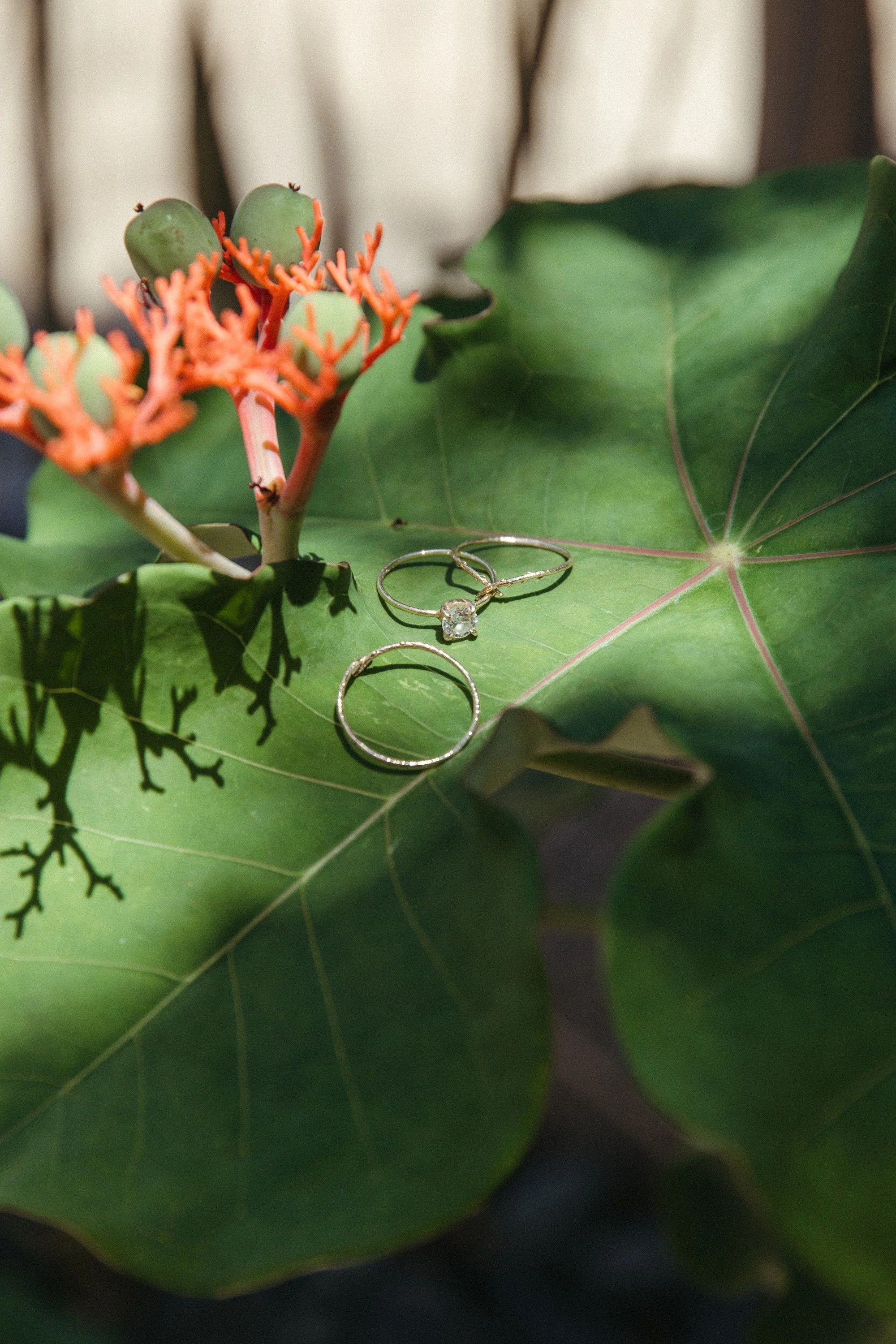 20250502-03_Sylvie and Mason Wedding_024.jpg