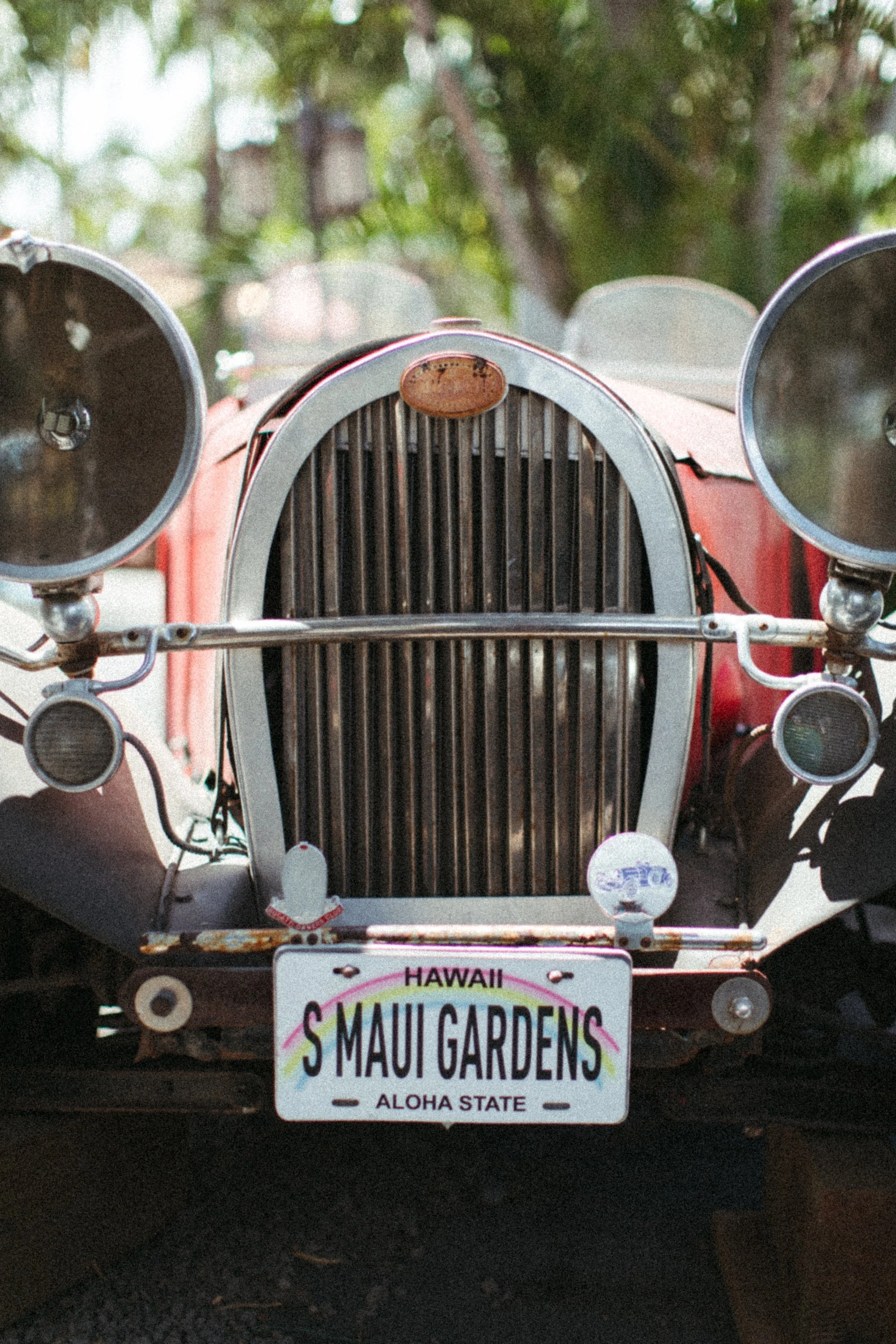 20250502-03_Sylvie and Mason Wedding_050.jpg