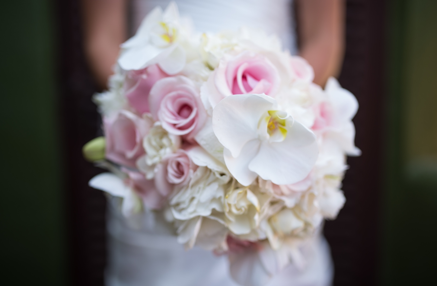 wedding photographers in los cabos