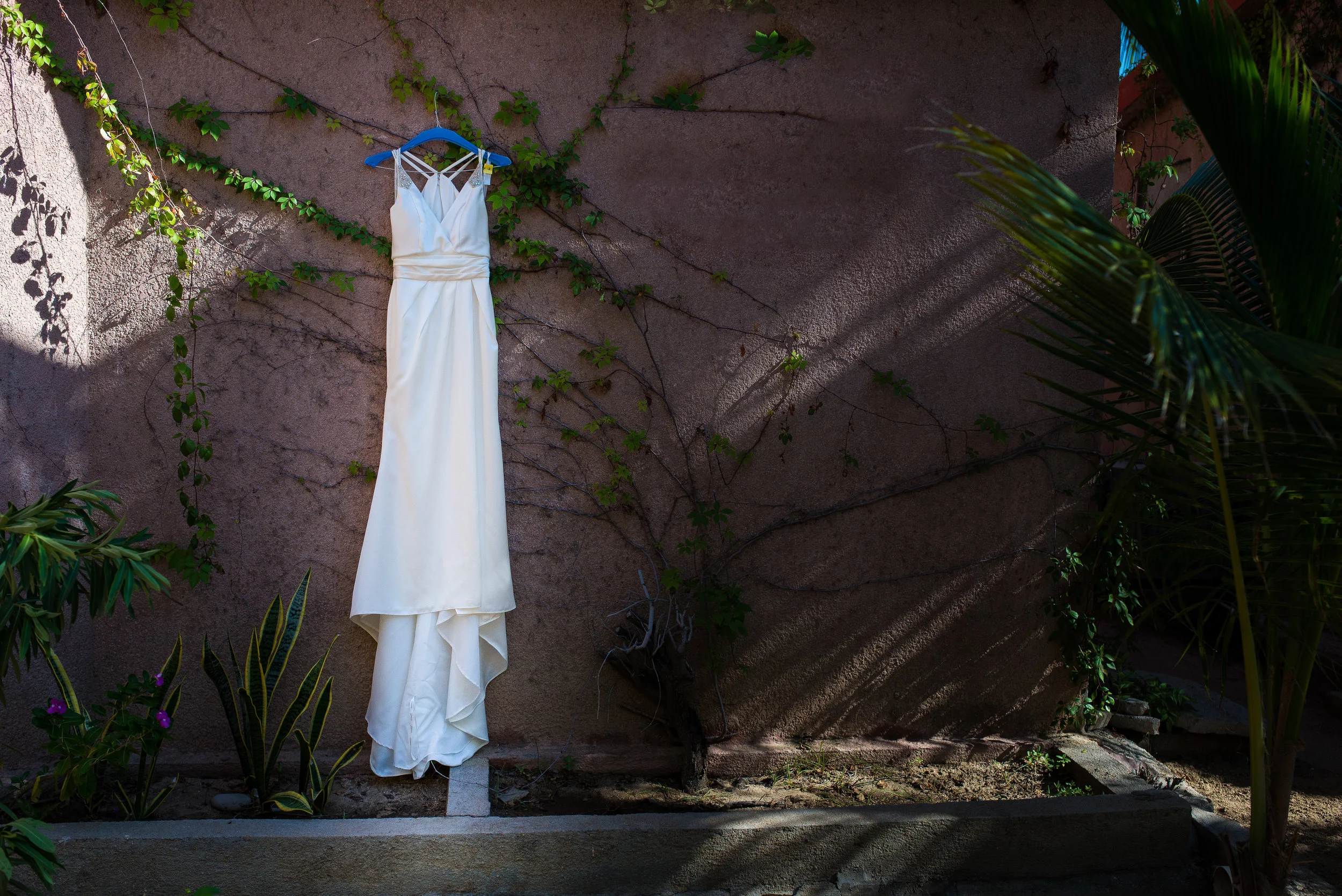 los-cabos-bride