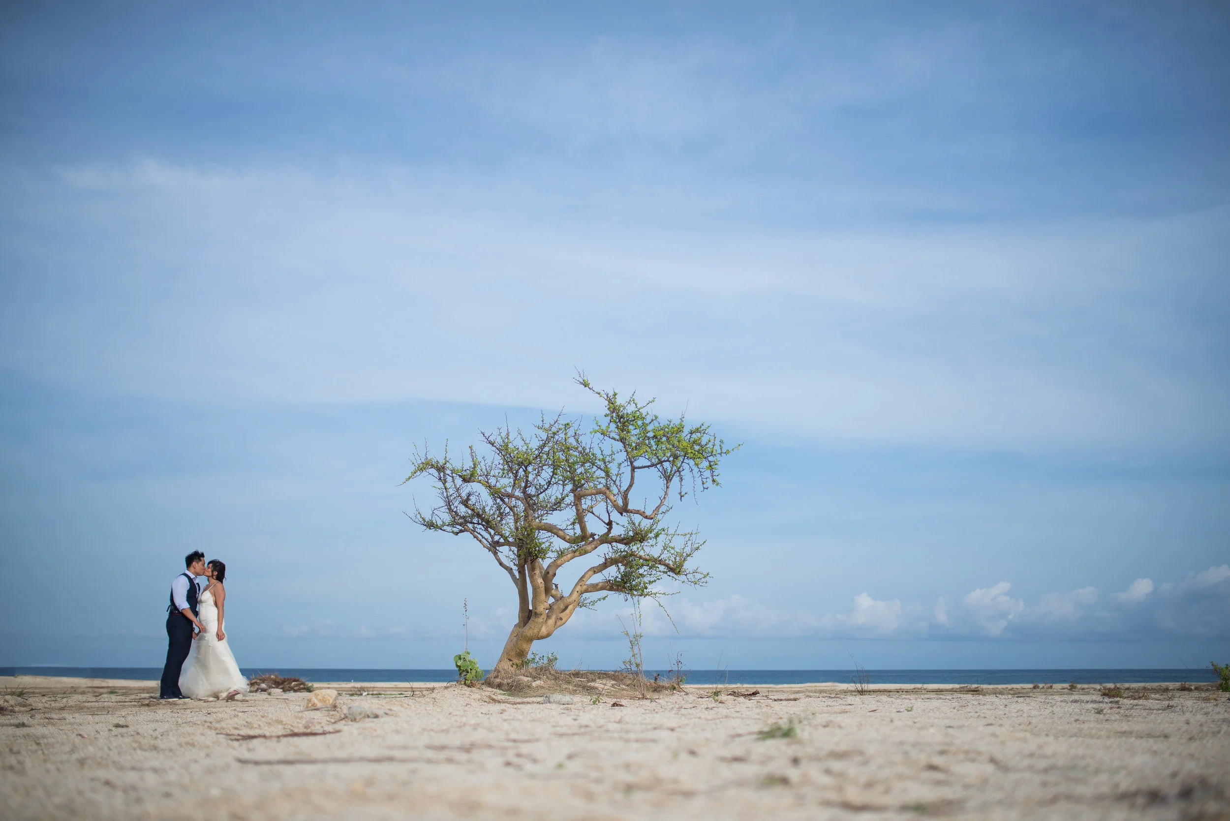 Angela and Feodor. Los Cabos trash the dress session